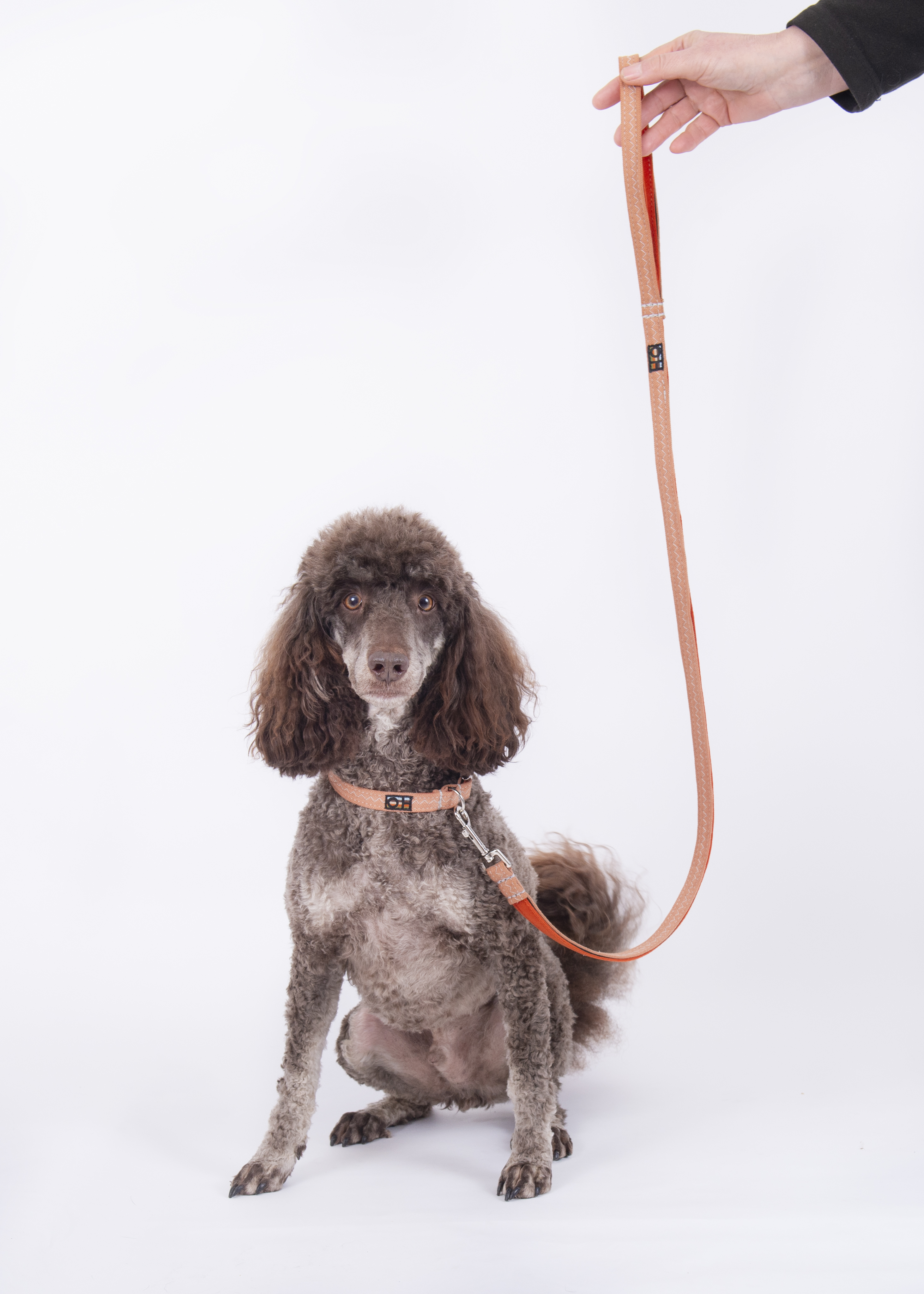 Dog Collars - Eco SoftFit Range