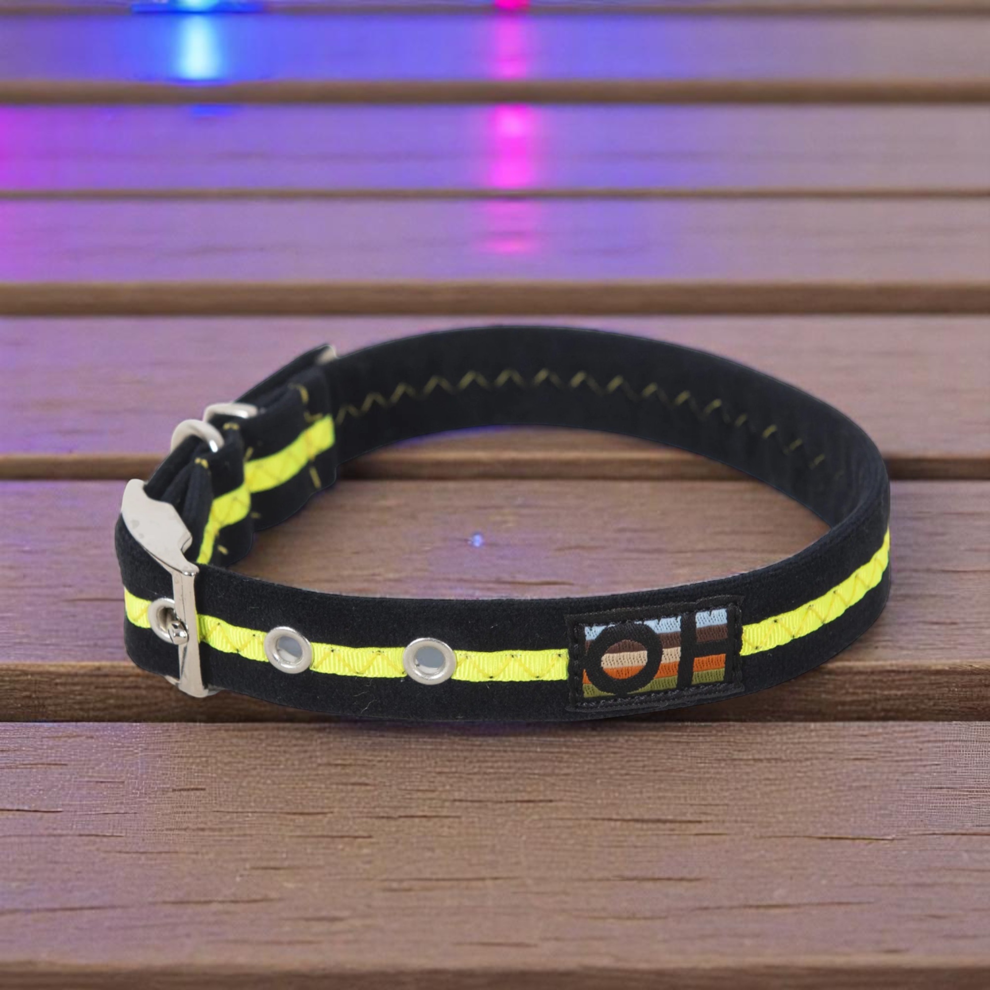 Dog Collars - Neon Range
