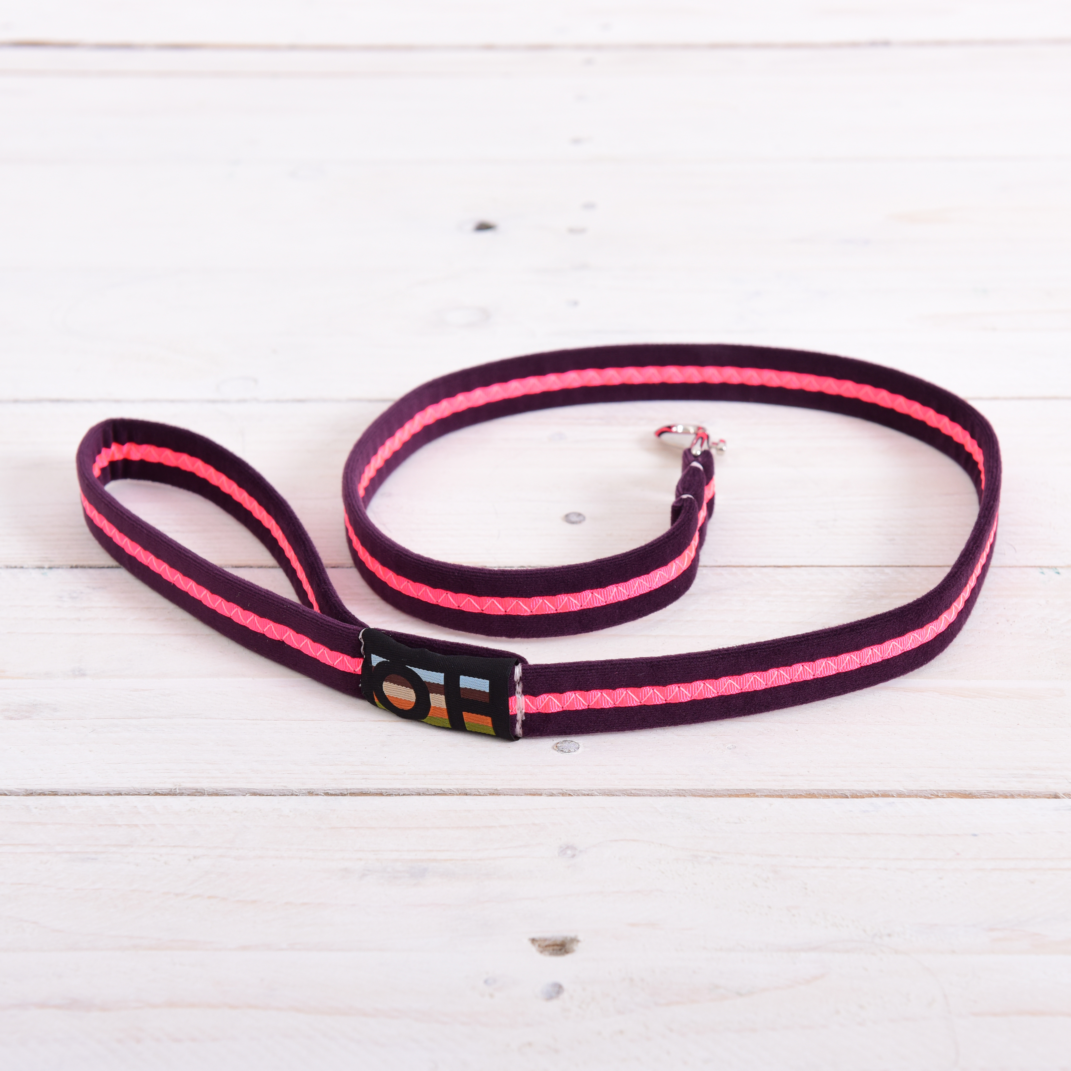Dog Leads - Neon Range