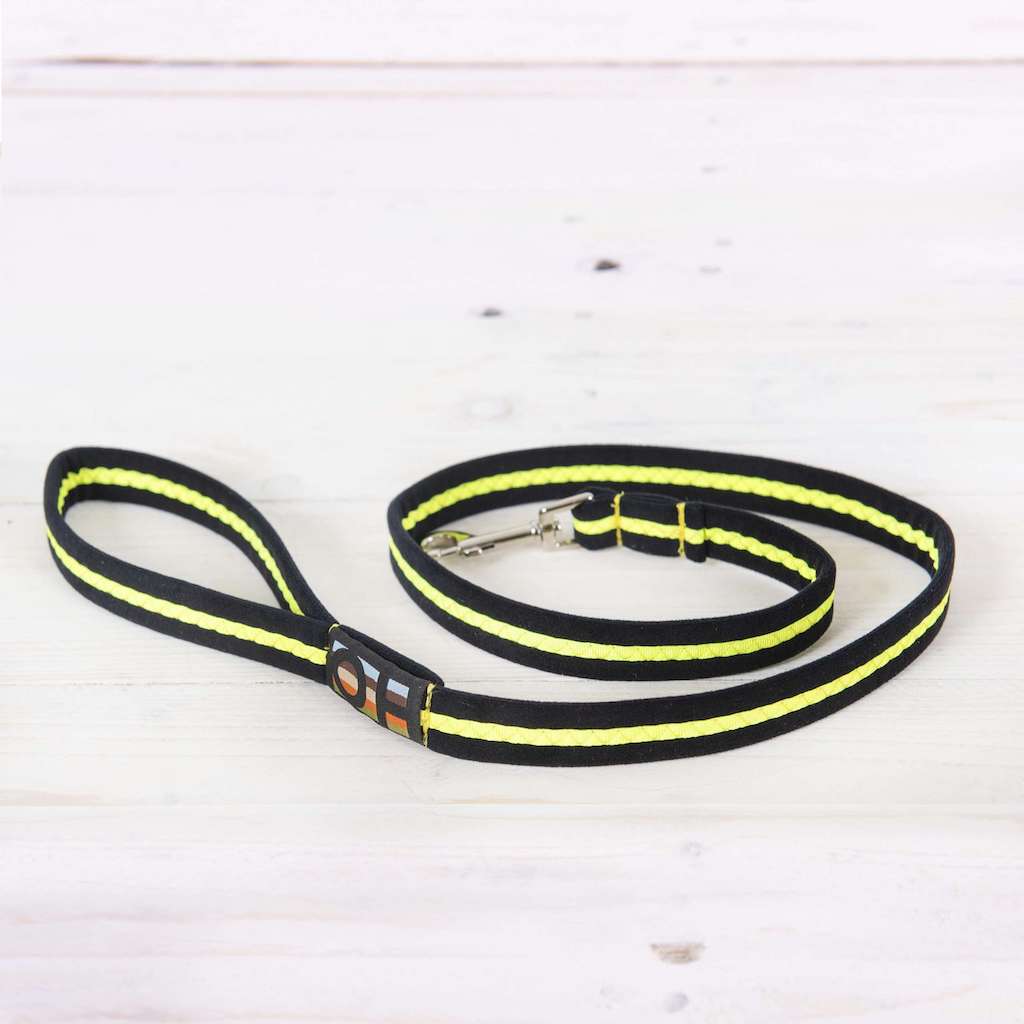 Dog Leads - Neon Range