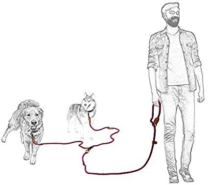 Double Dogs Rope Leash | Dog Slip Lead | Dual Configuration