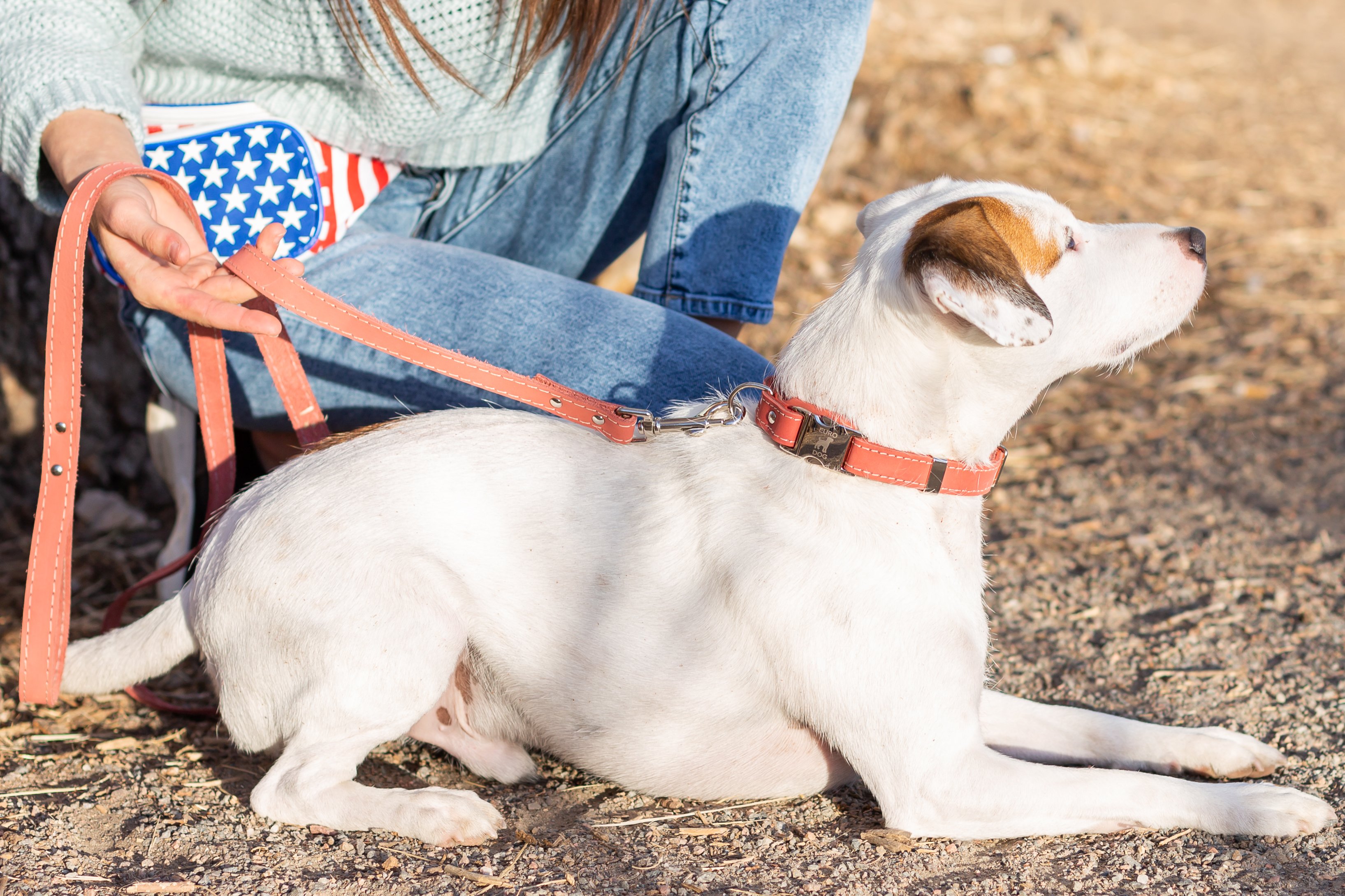 Euro-Dog Coral Soft Leather Quick-Release Dog Collar