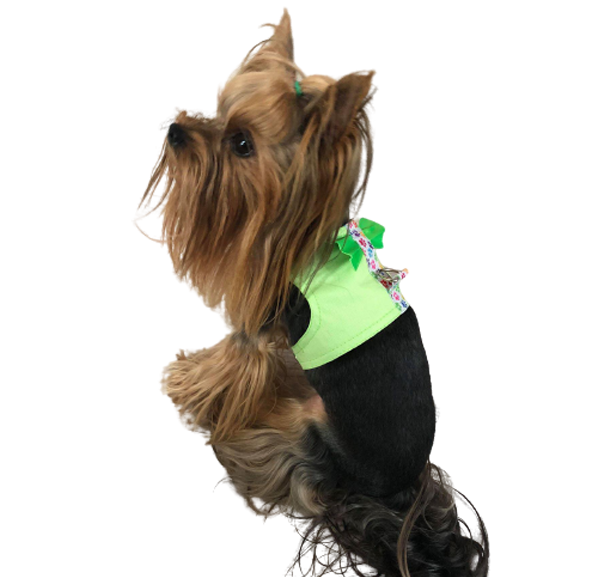 Green Paws Harness