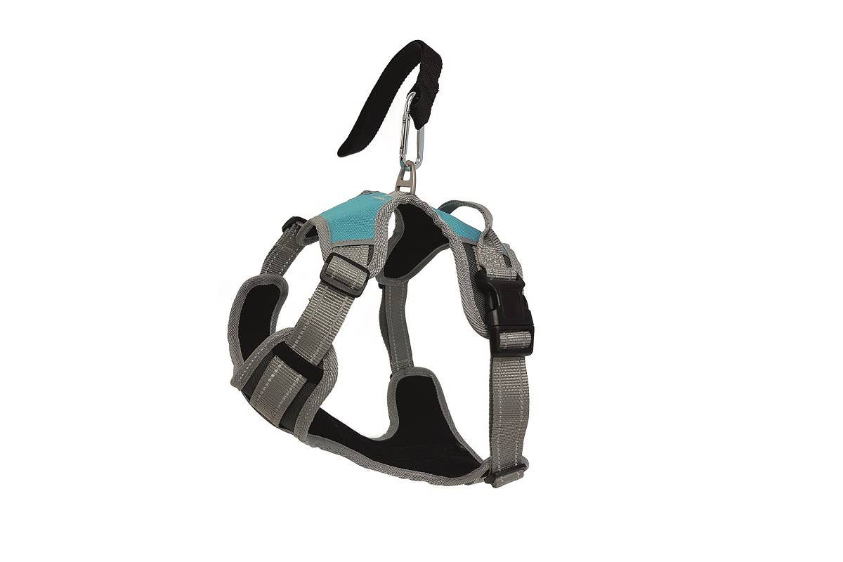 Henry Wag Dog Travel Harness