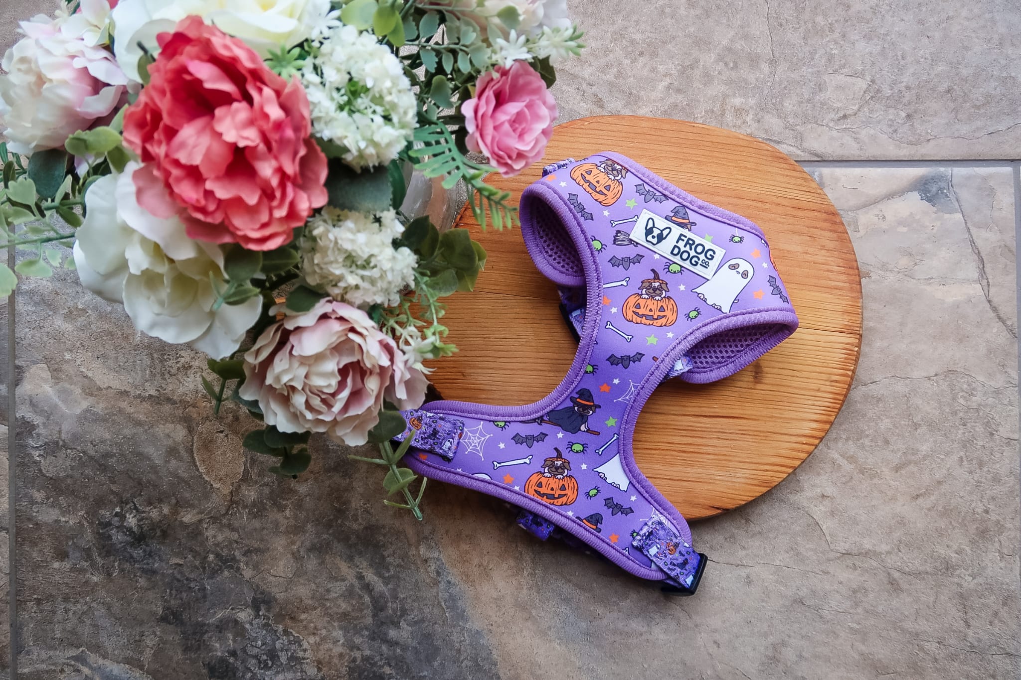 Limited edition Halloween harness Small