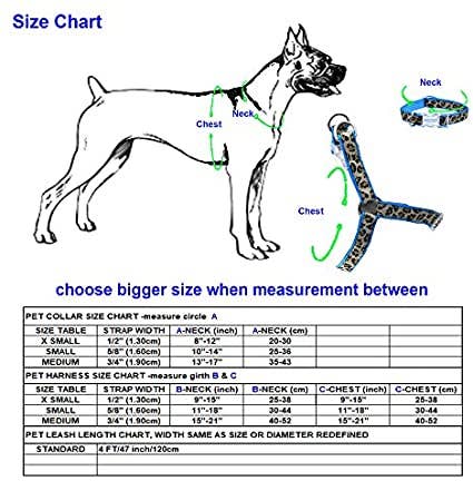 Mile High Life Dog Collar, Harness and Leash | Leopard Desig