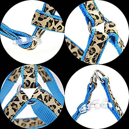 Mile High Life Dog Collar, Harness and Leash | Leopard Desig