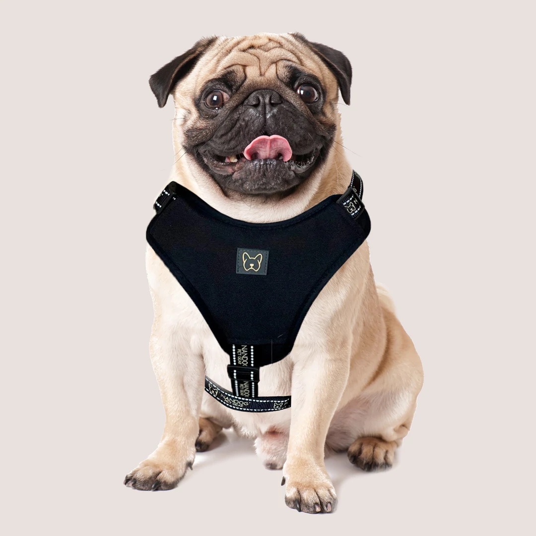 NANDOG NEOPRENE SPORT HARNESS (SMALL)