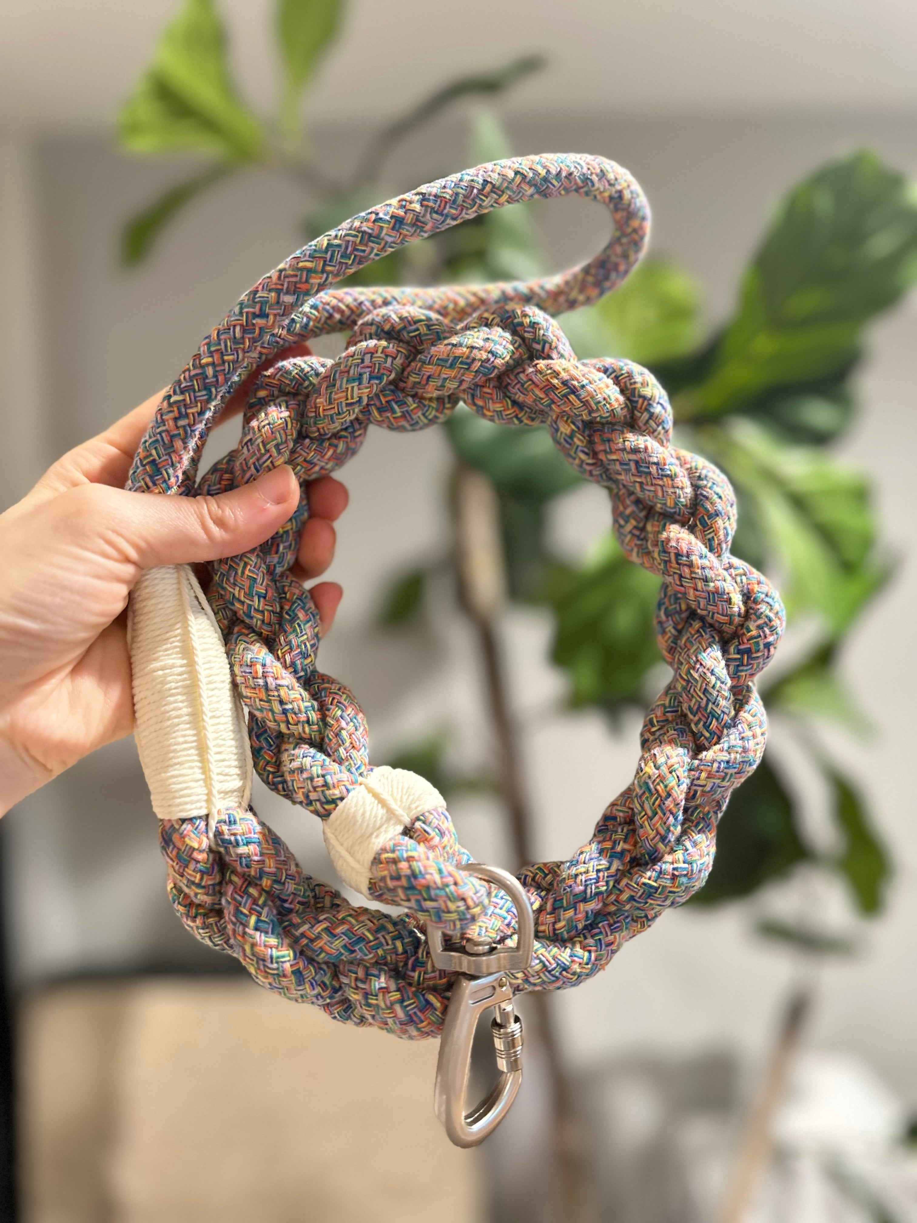 New: Handcrafted Rainbow Rover Dog Leash | Sustainable