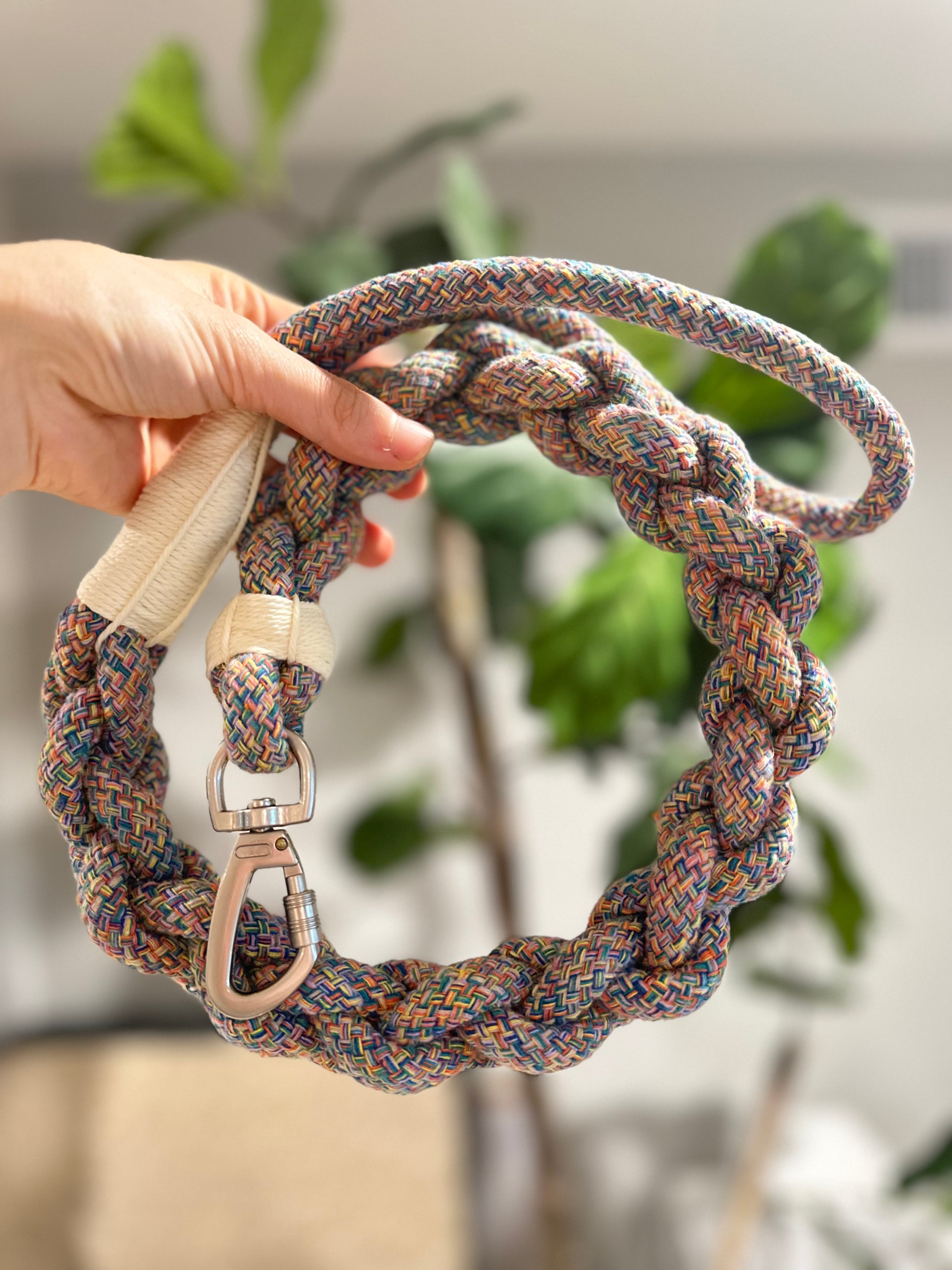 New: Handcrafted Rainbow Rover Dog Leash | Sustainable