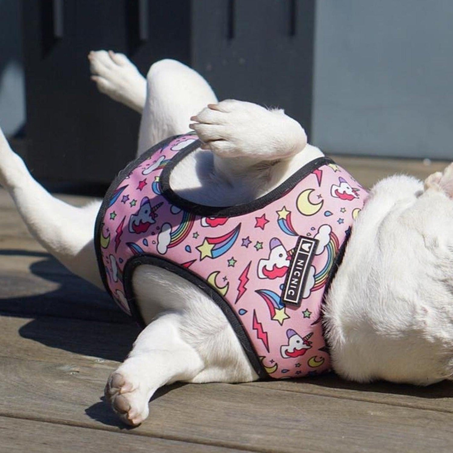 Printed Dog Harness & Leash Set - Pink Unicorn