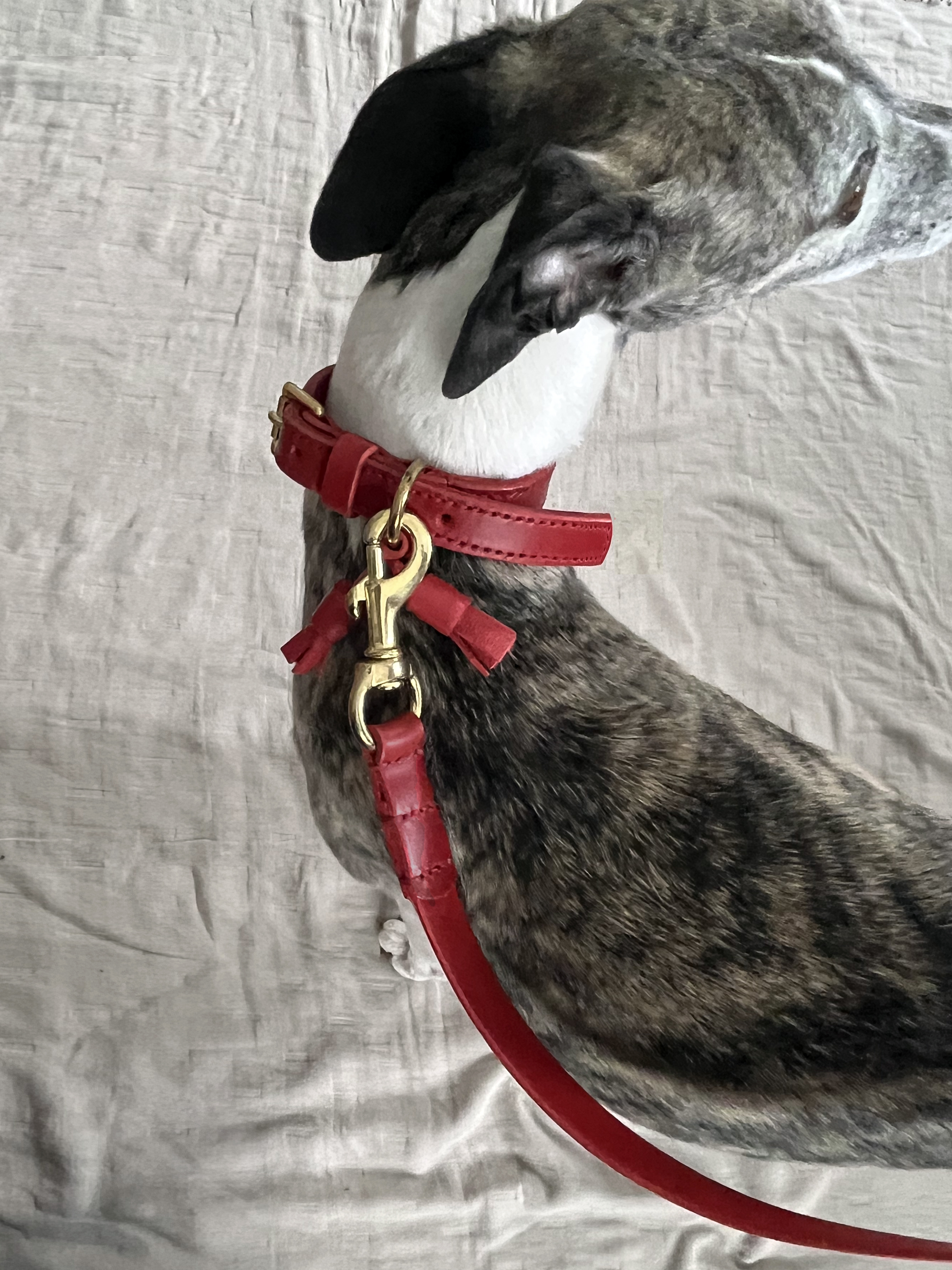 Red Leather 'Artisan 03' Dog Lead