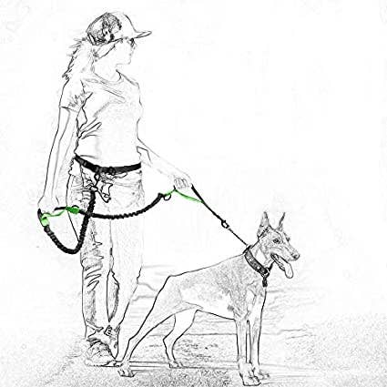 Retractable Hands Free Dog 7FT Leash Waist Running Adjustabl