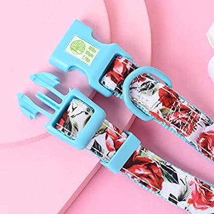 Seasonal Floral Celebration Collection Girl Cute Dog Collars