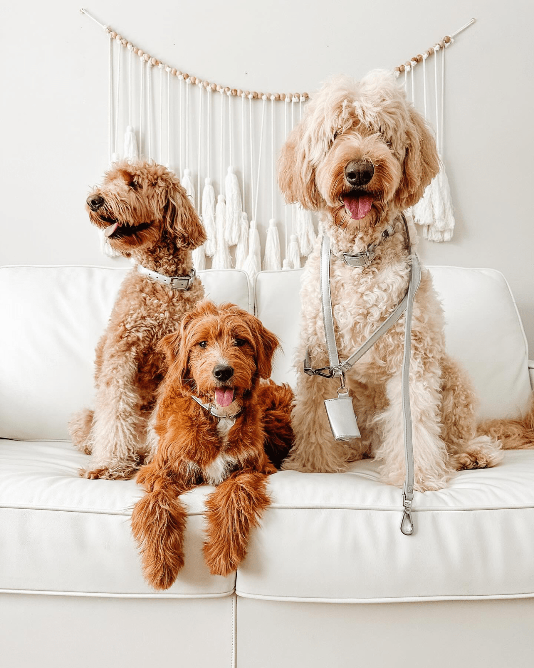 Shine Multiway Metallic Leather Leash &amp; Poop Bag Pouch