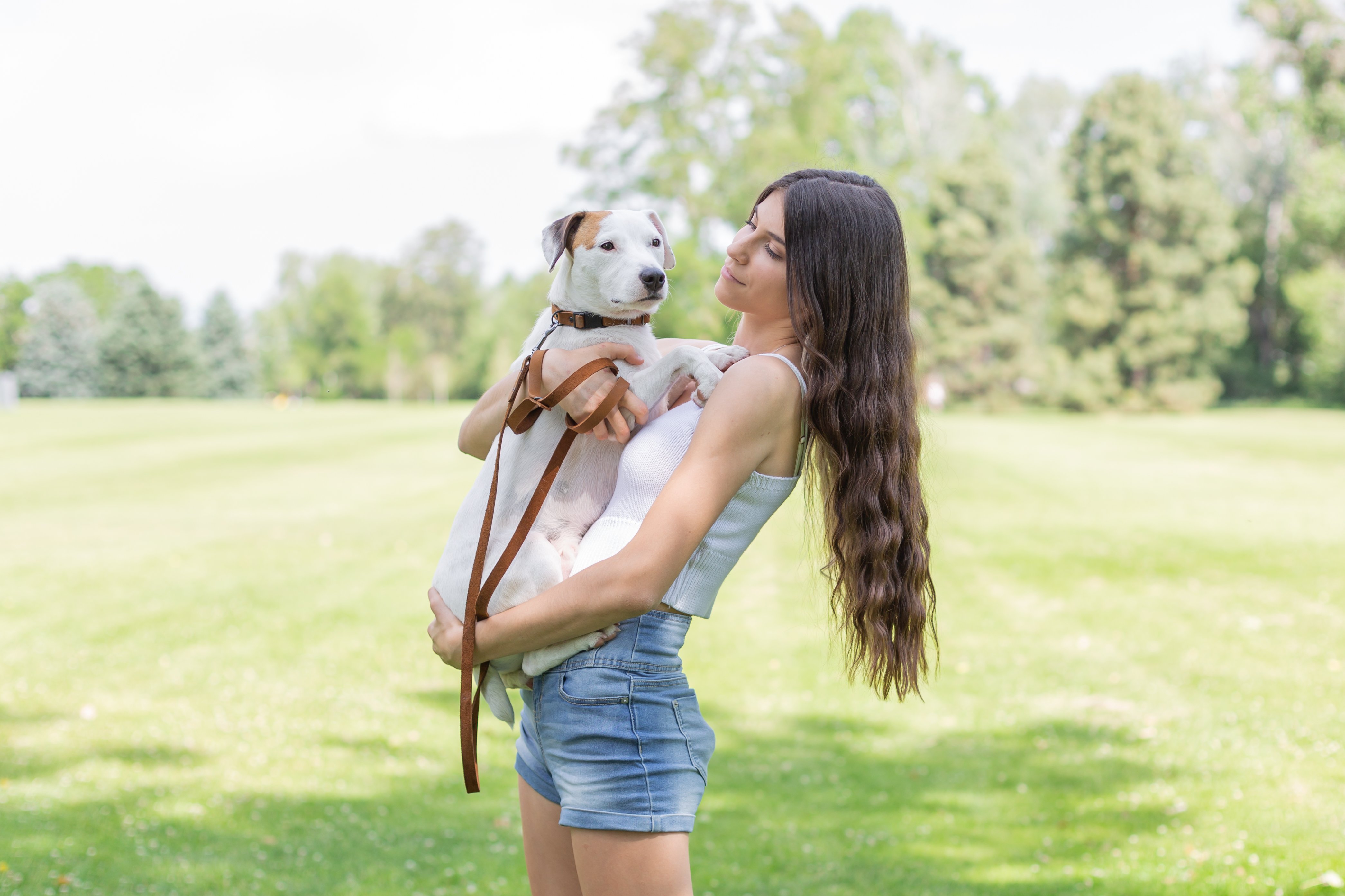 Tan Sport Dog Lead