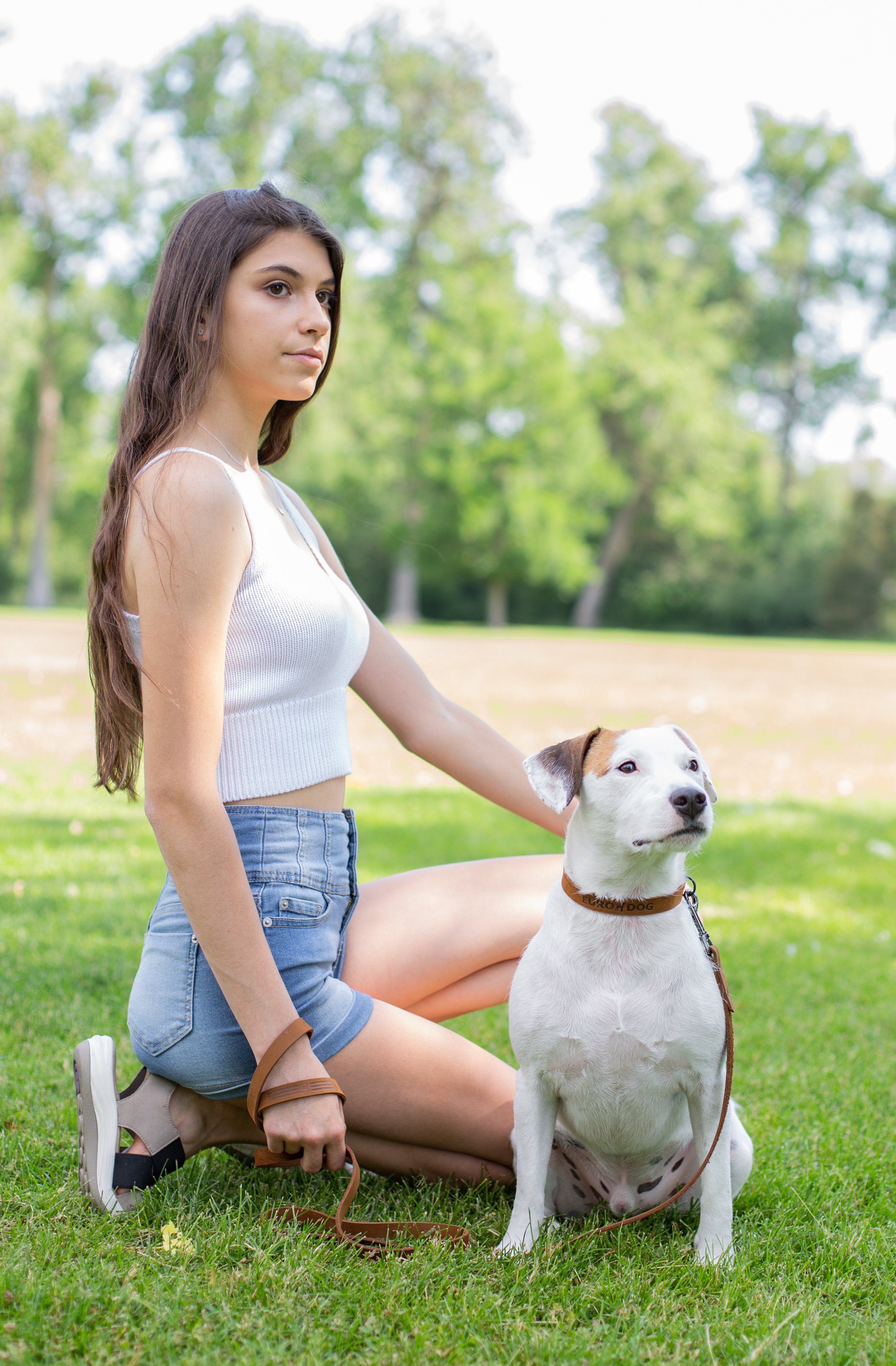 Tan Sport Dog Lead