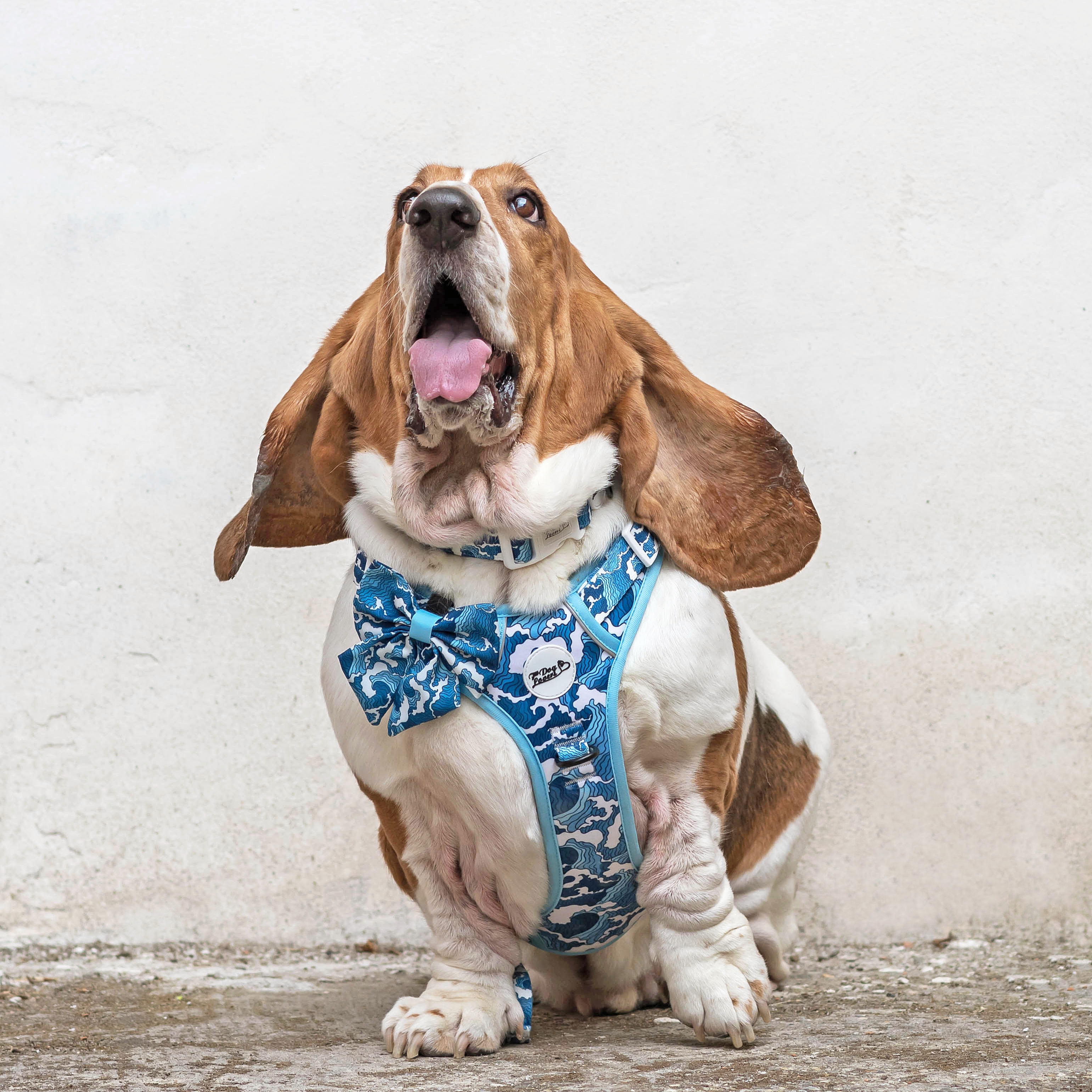 Urban Rover™ Dog Harness - Ocean Adventures Limited Edition