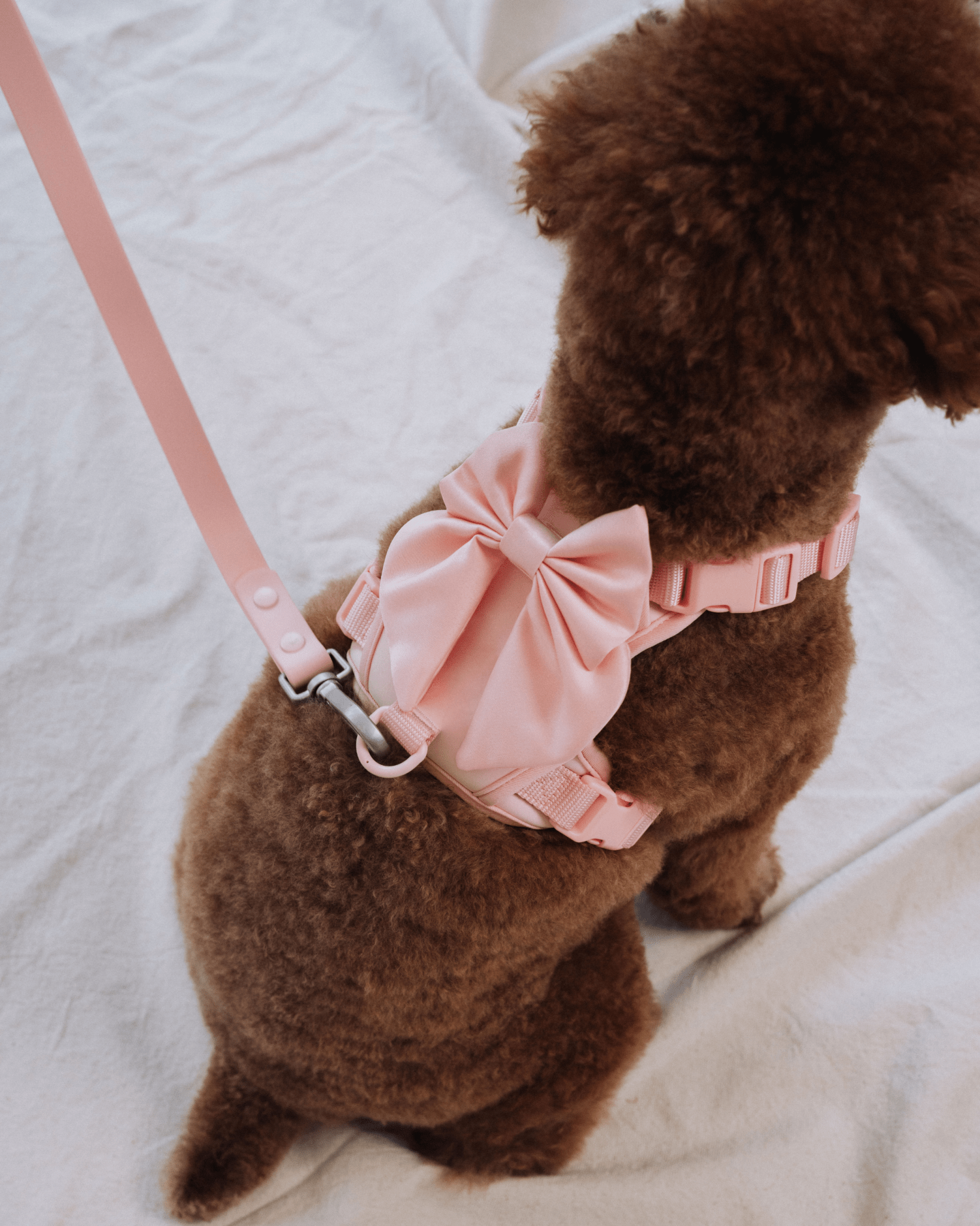 Wander! Bow Harness 2.0 - Blossom