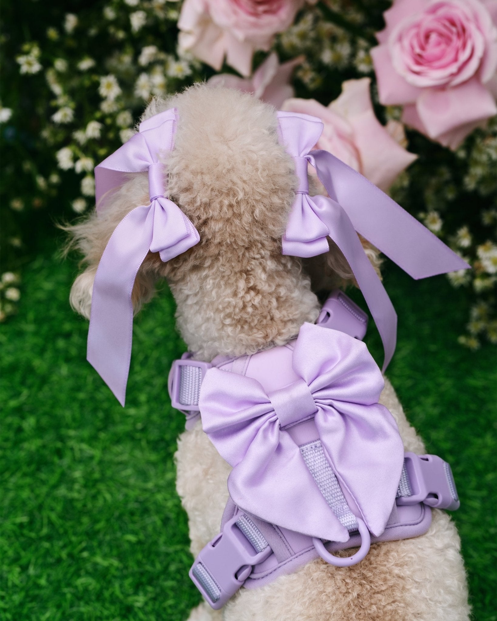 Wander! Bow Harness 2.0 - Lilac