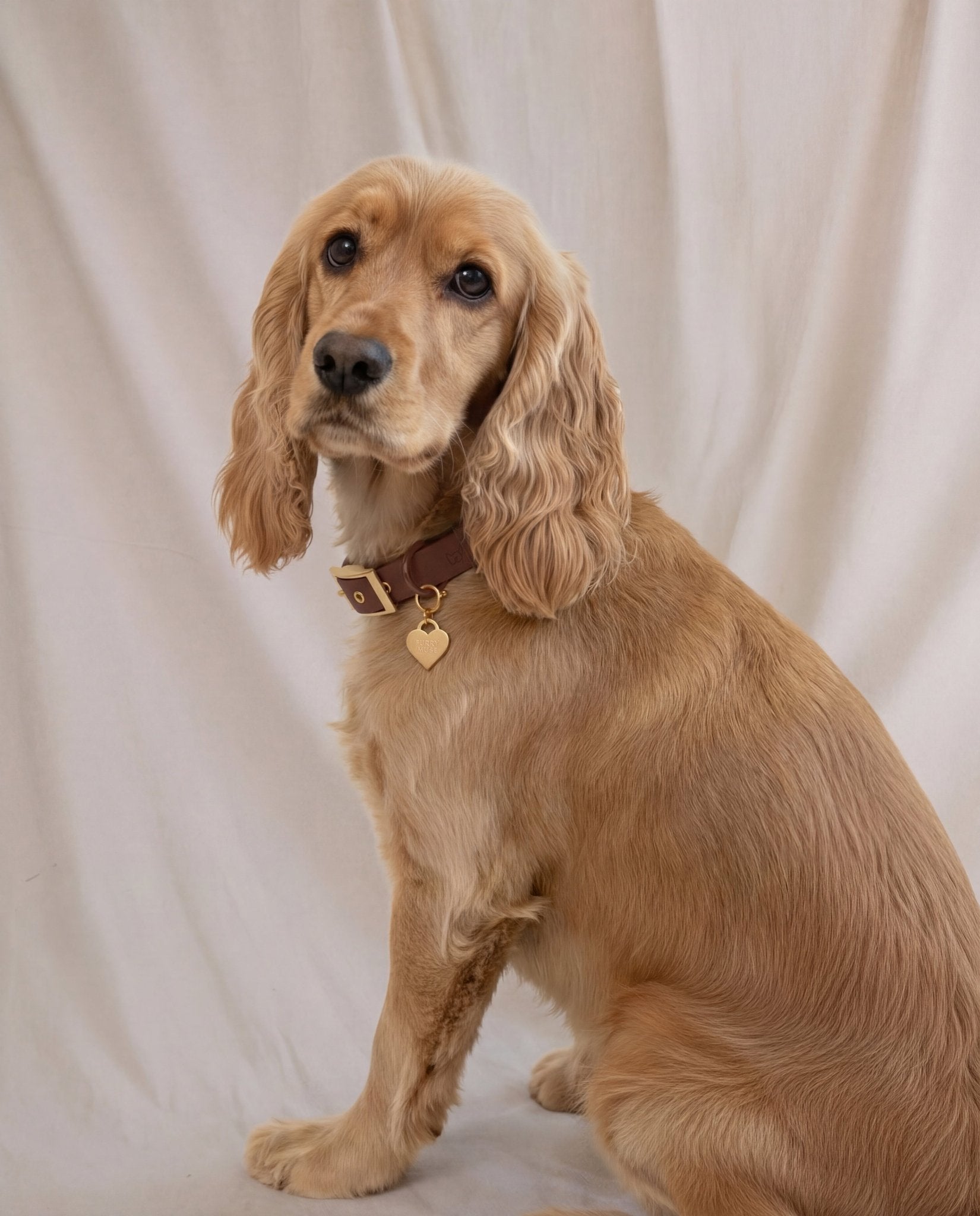 Wander! Collar 2.0 - Cocoa