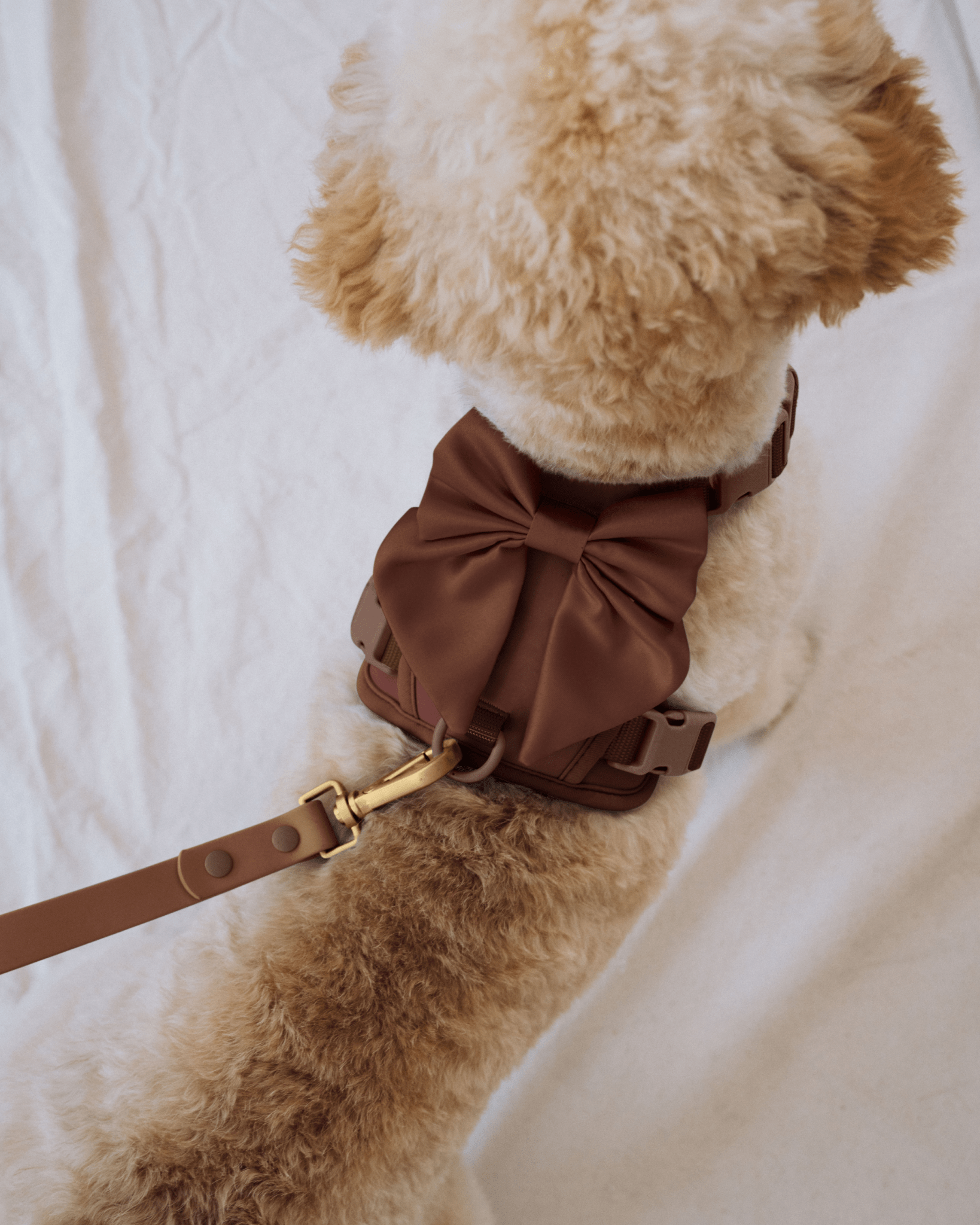 Wander! Multiway Leash -  Cocoa
