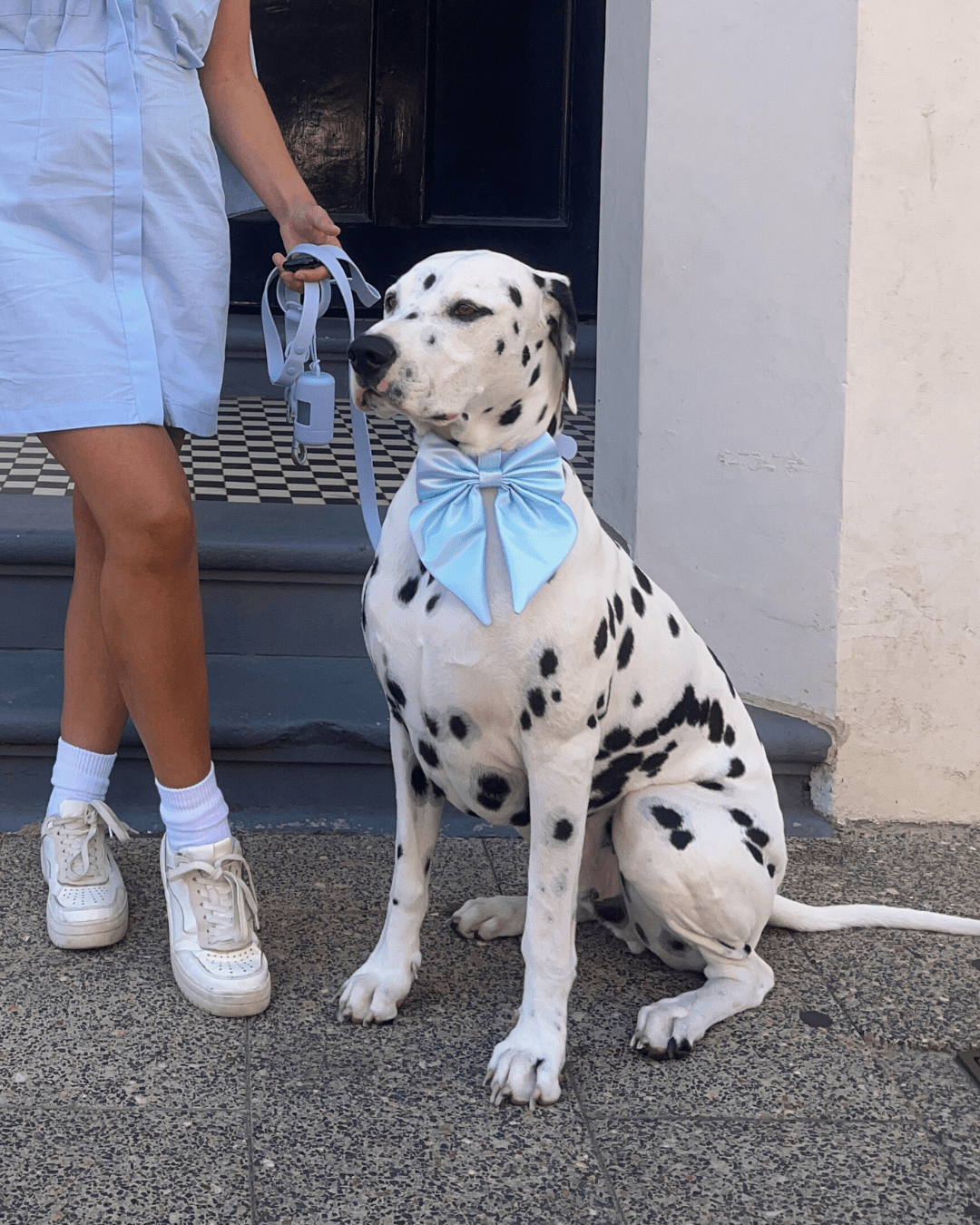 Wander! Multiway Leash -  Sky