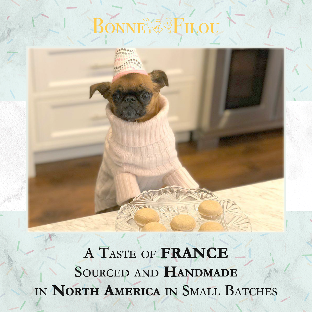 Birthday Cake Dog Macarons - 6 Count - Window