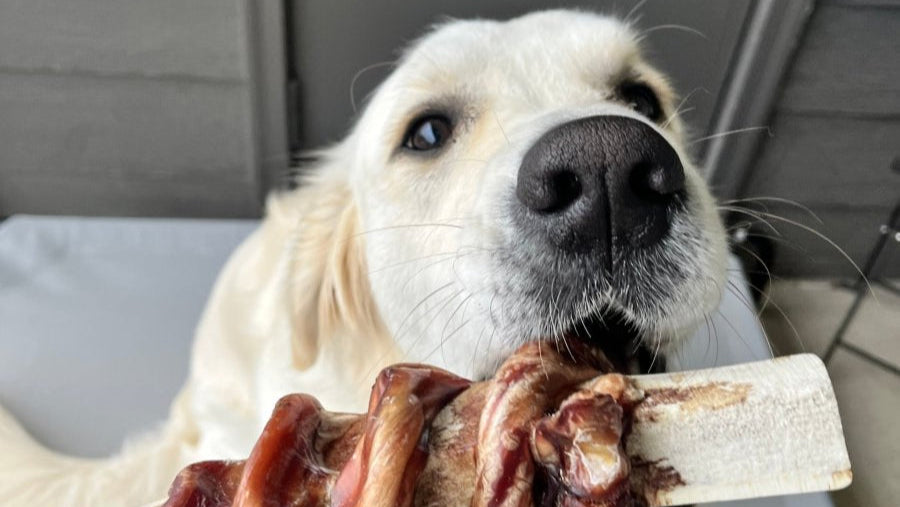 Bully Stick Wrapped Split Elk Antler Chews