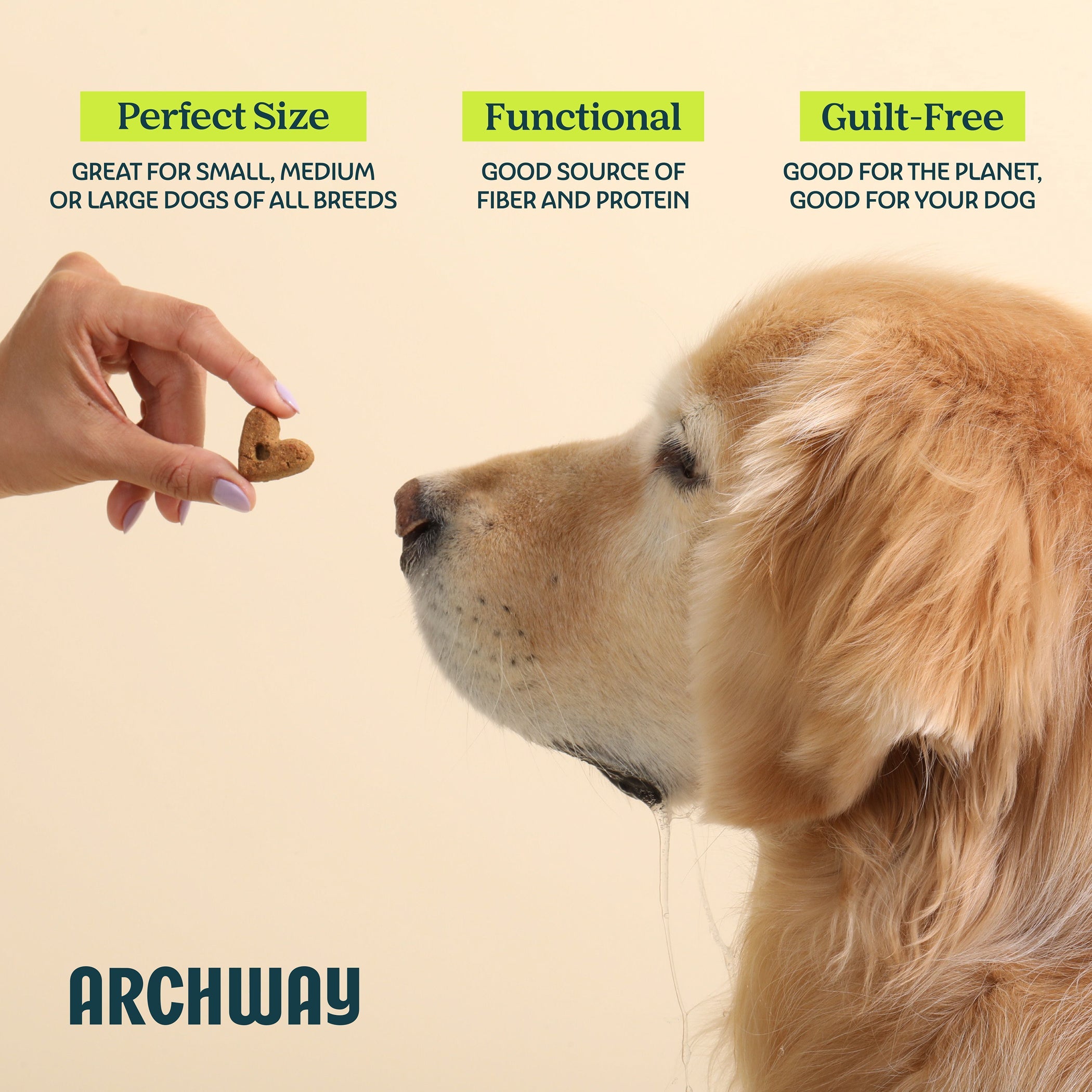 Digestive Health Dog Treats for Sensitive Stomachs with Cricket Protein