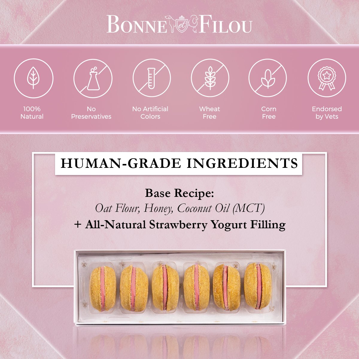 Dog Macarons (Box of 6) - bundle of 2