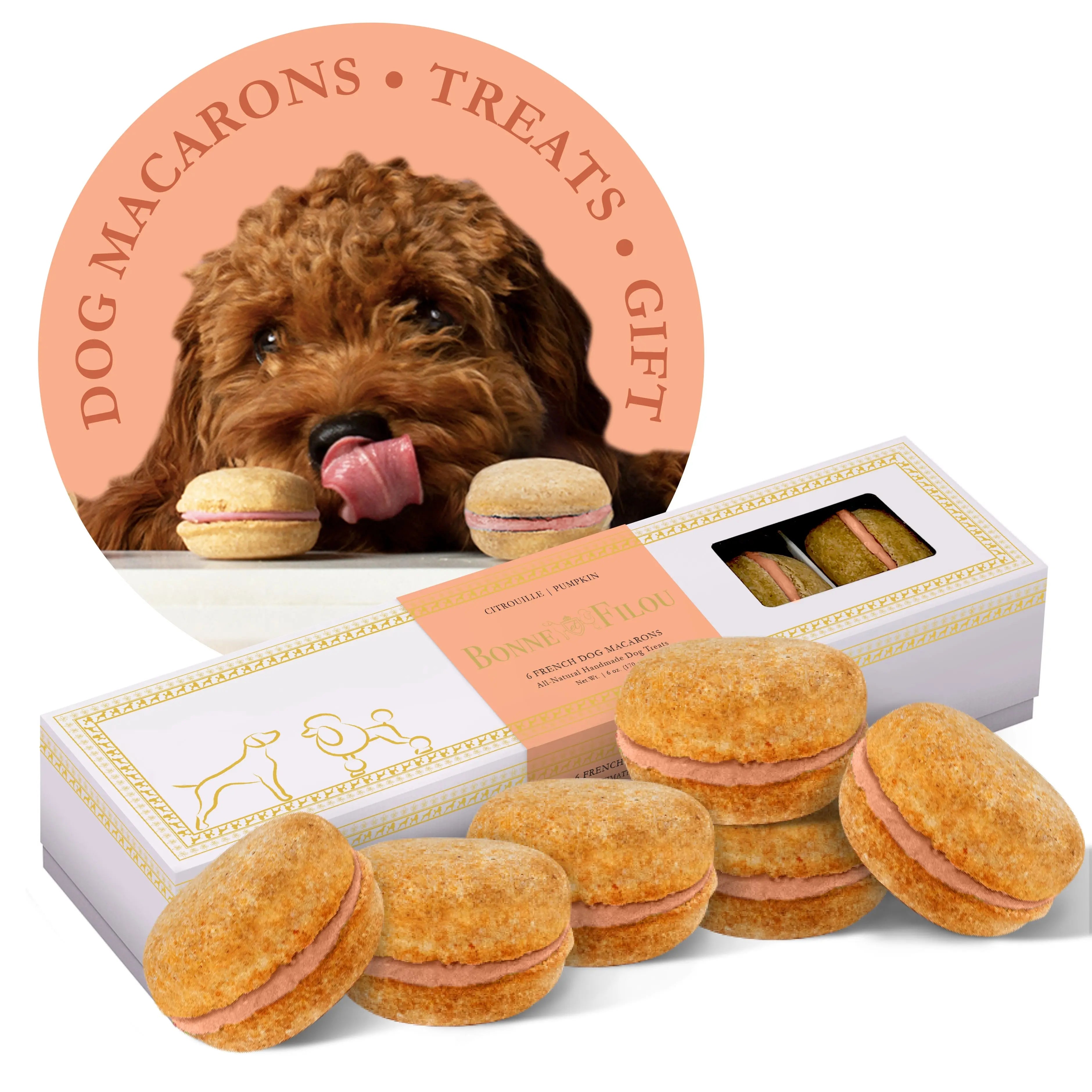 Dog Macarons (Box of 6) - bundle of 3