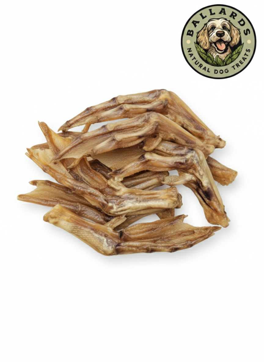 Duck Feet 1kg Dog Treats