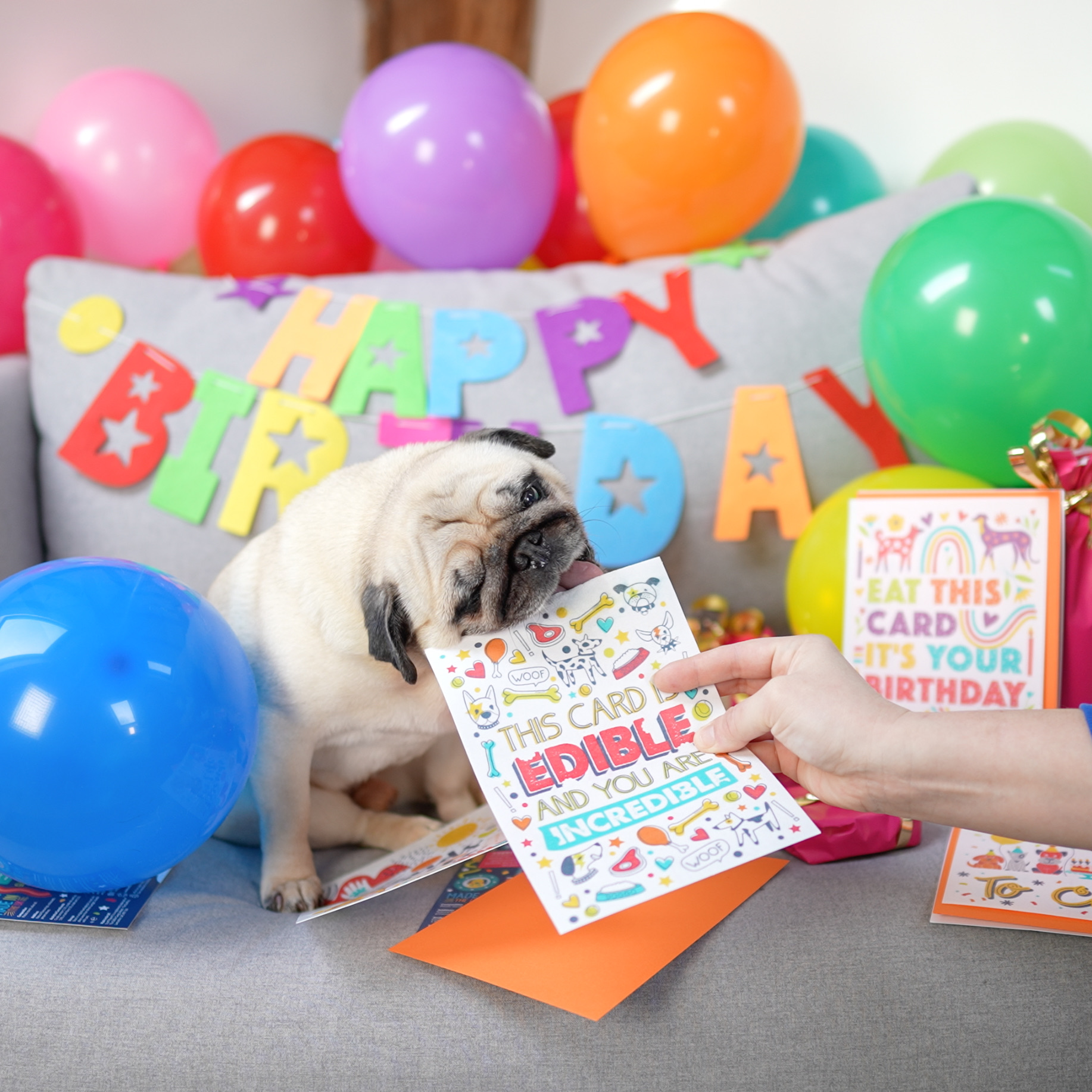Edible Greeting Card for Dogs - Edible Incredible - Chicken flavour