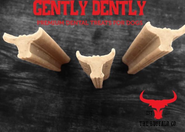 Gently Dently- Fresh Breath Mint Dental Treats for Dogs 175g