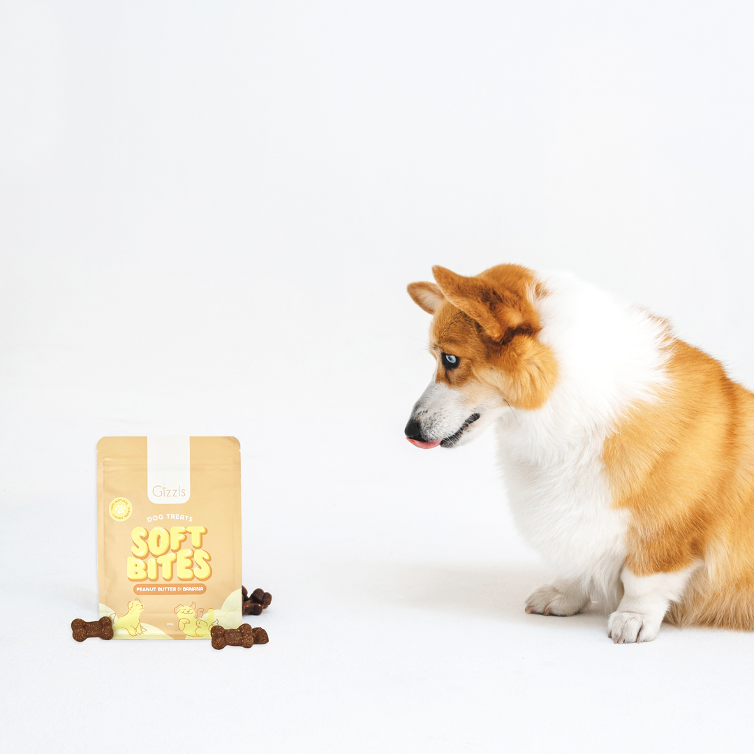 Gizzls Peanut Butter & Banana Chewy Dog Treats – 300g