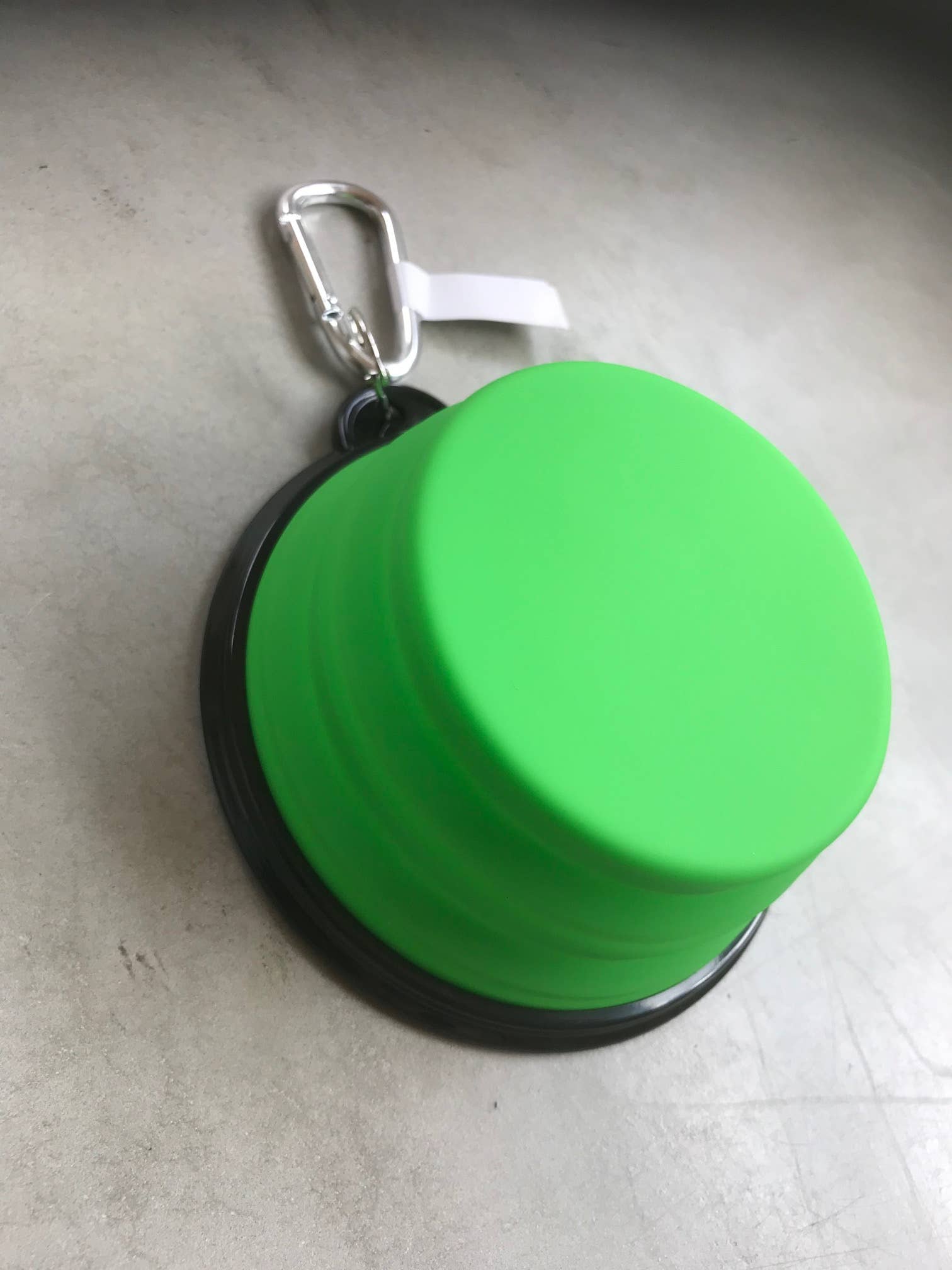 Green Travel Pet Bowl