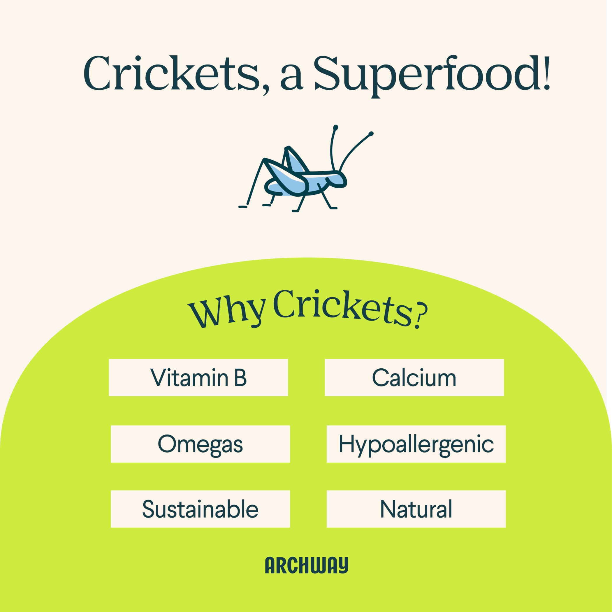 Hypoallergenic Dog Treats With Cricket Protein - Peanut Butter