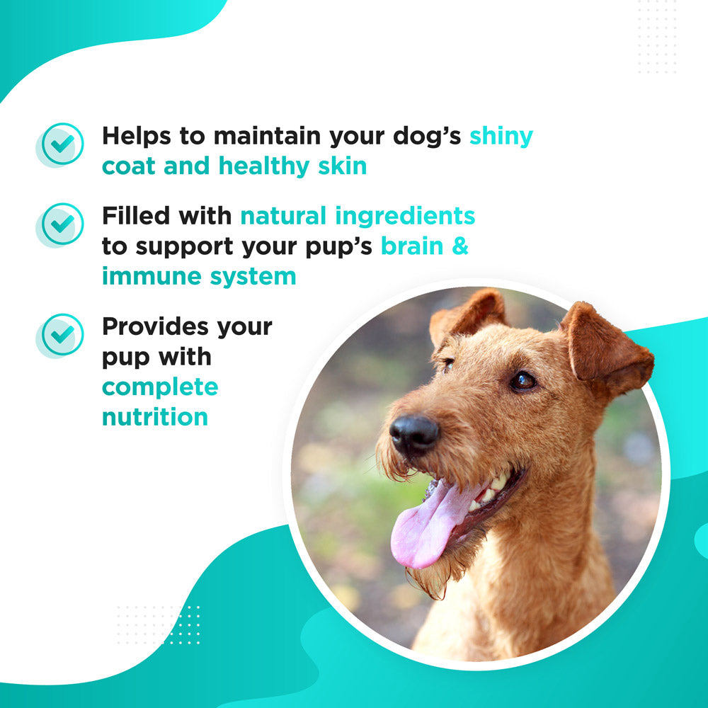OMEGA – Omega 3, 6, 9 Fish Oil Complex for Dogs &amp; Puppies