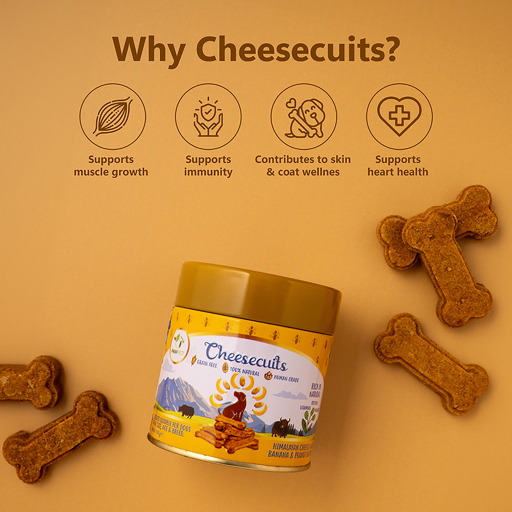 Pawfect Cheesecuits | Cheese biscuits with Banana, Peanut Butter &amp; Eggs for Dogs | All-natural training treats | High protein reward treats | Grain-free| Hypoallergenic (100g/3.53oz)