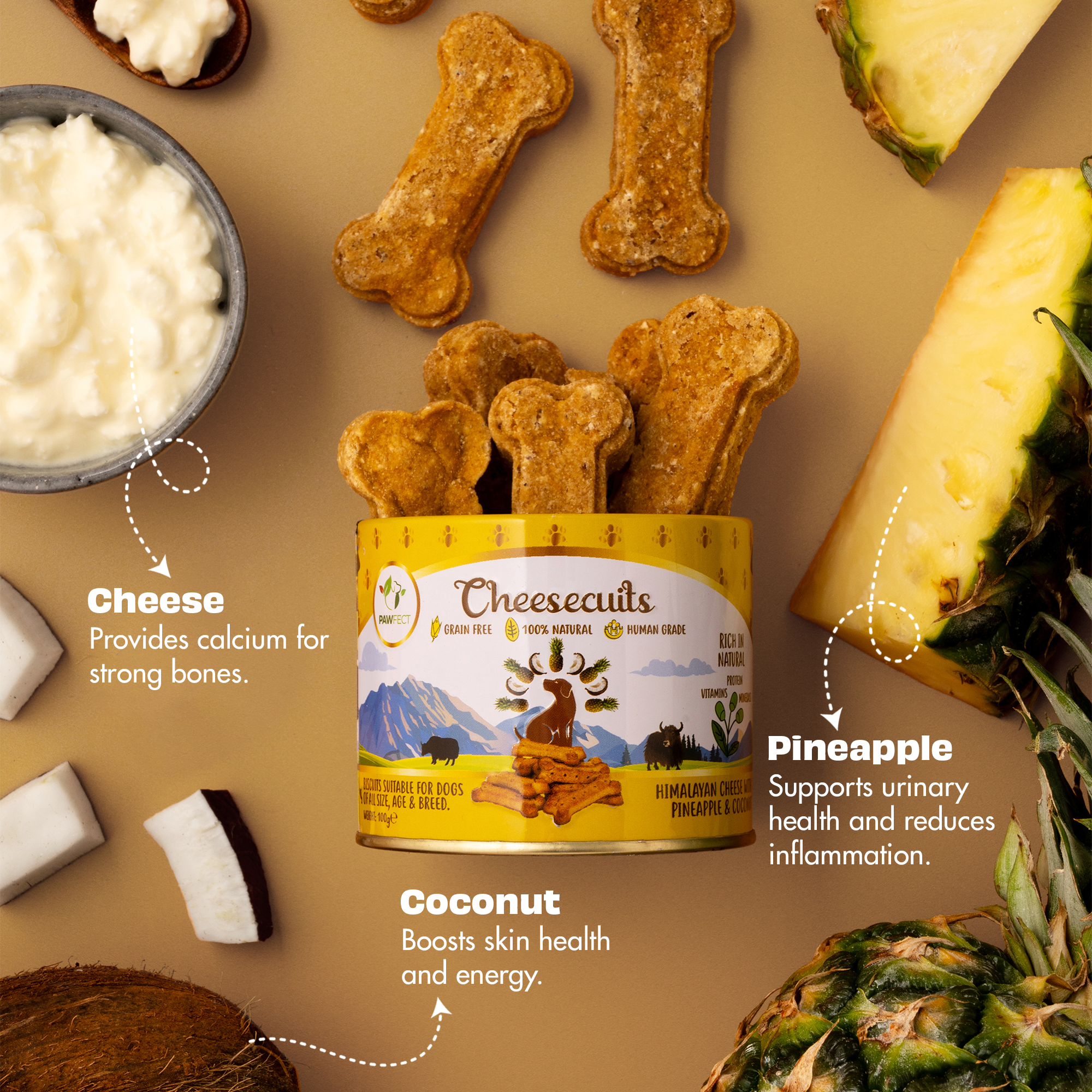 Pawfect Cheesecuits | Cheese biscuits with Pineapple, Coconut &amp; Eggs for dogs | All-natural training treats | High protein reward treats | Grain-free| Hypoallergenic (100g/3.53oz)