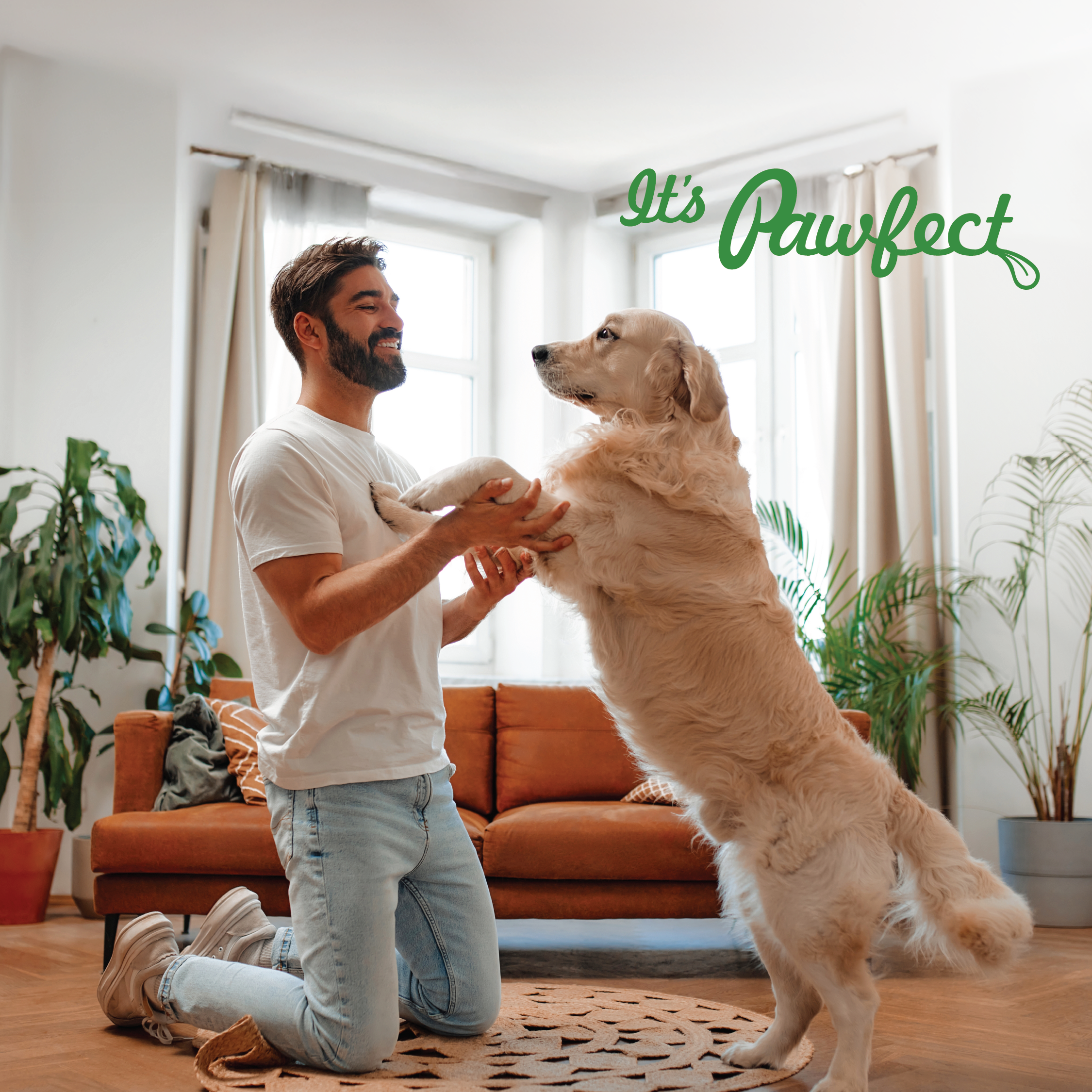 Pawfect Cheesecuits | Cheese biscuits with Pineapple, Coconut &amp; Eggs for dogs | All-natural training treats | High protein reward treats | Grain-free| Hypoallergenic (100g/3.53oz)