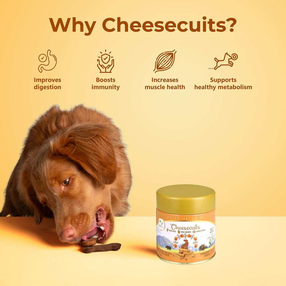 Pawfect Cheesecuits | Cheese biscuits with Pumpkin, Flaxseeds &amp; Eggs for dogs| All-natural high-protein dog treats | Grain-free, hypoallergenic &amp; rich in antioxidants (100g/3.53oz)