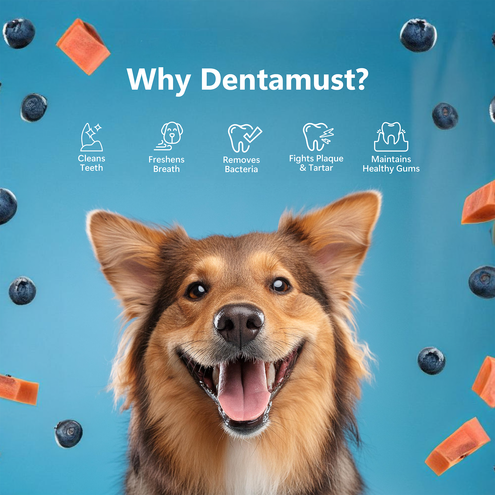 Pawfect Dentamust Himalayan Cheese Chews with Blueberry & Papaya for Dogs|Long lasting dental chews with Superfoods |All Natural, High protein|Grain-free| Pack of 1 for Large Dogs (140g/4.94oz)