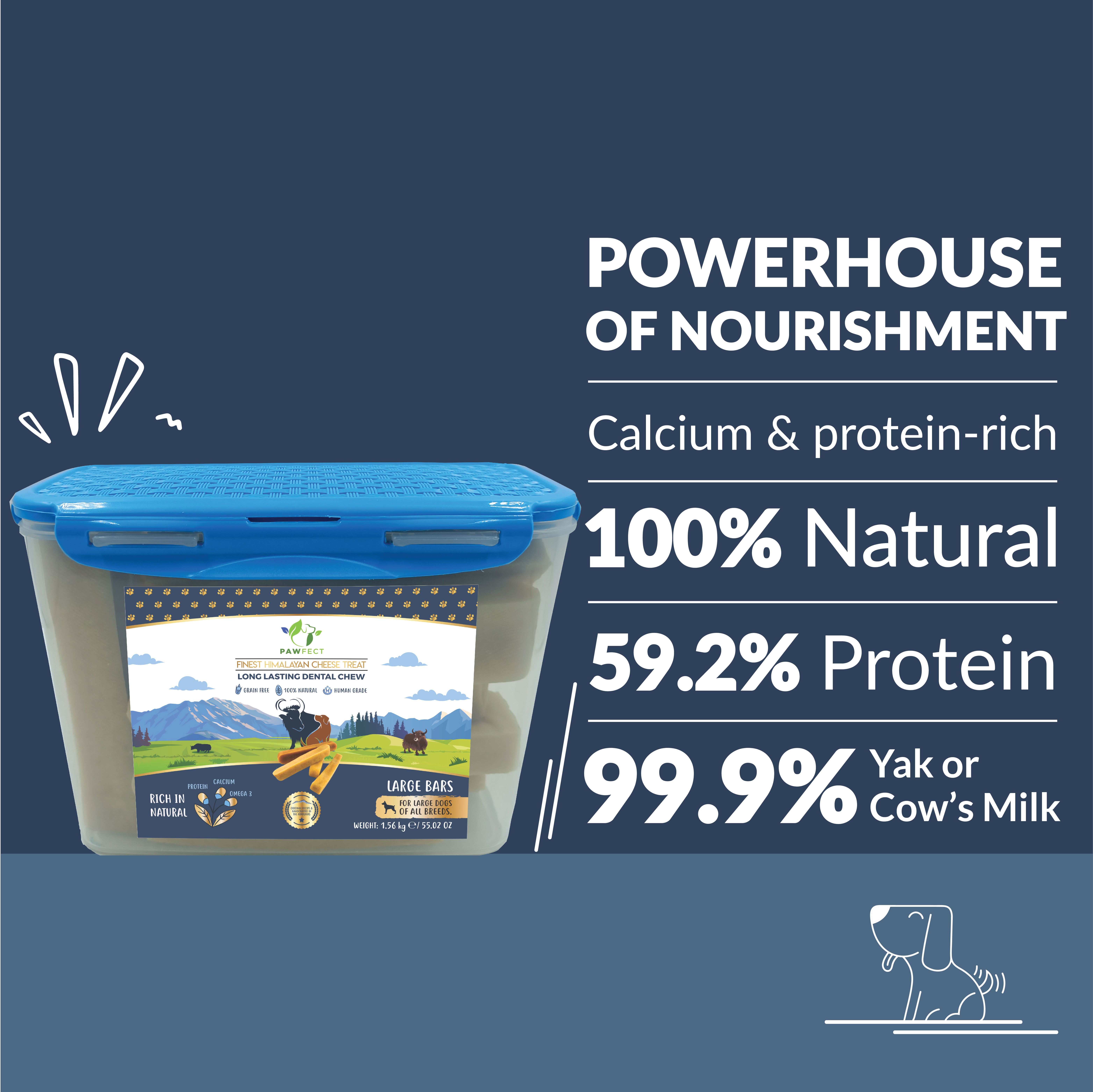 Pawfect Himalayan Cheese Chews for Dogs | 100% Natural Dental Stick | Long lasting healthy chew | Rich in Protein &amp; Calcium | Grain-free| Daily dental treat| Pack of 10 for Large Dogs (1560g/55.03oz)