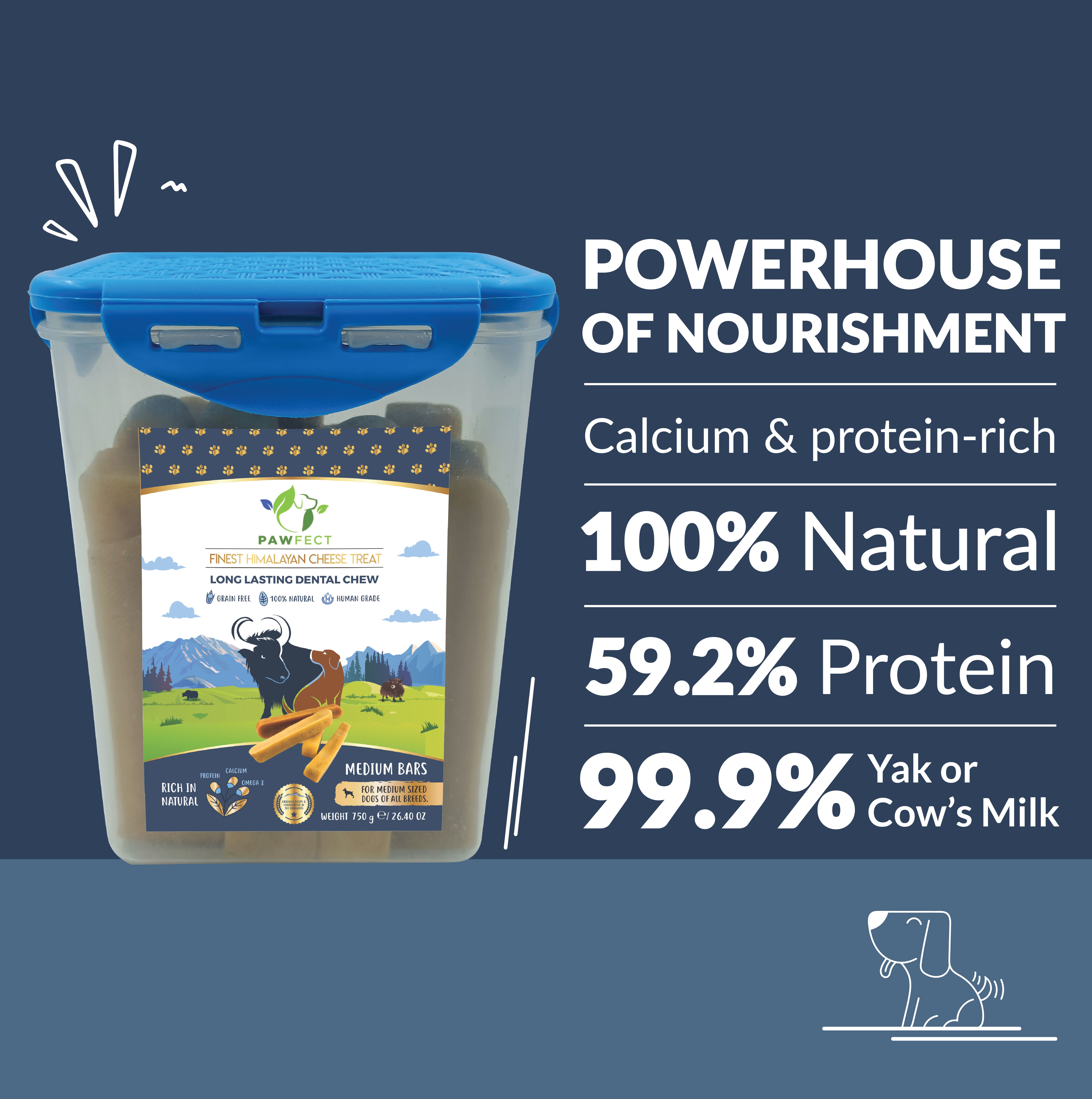 Pawfect Himalayan Cheese Chews for Dogs | 100% Natural Dental Stick | Long lasting healthy chew | Rich in Protein &amp; Calcium | Grain-free| Daily dental treat| Pack of 10 for Medium Dogs (750g/26.45oz)