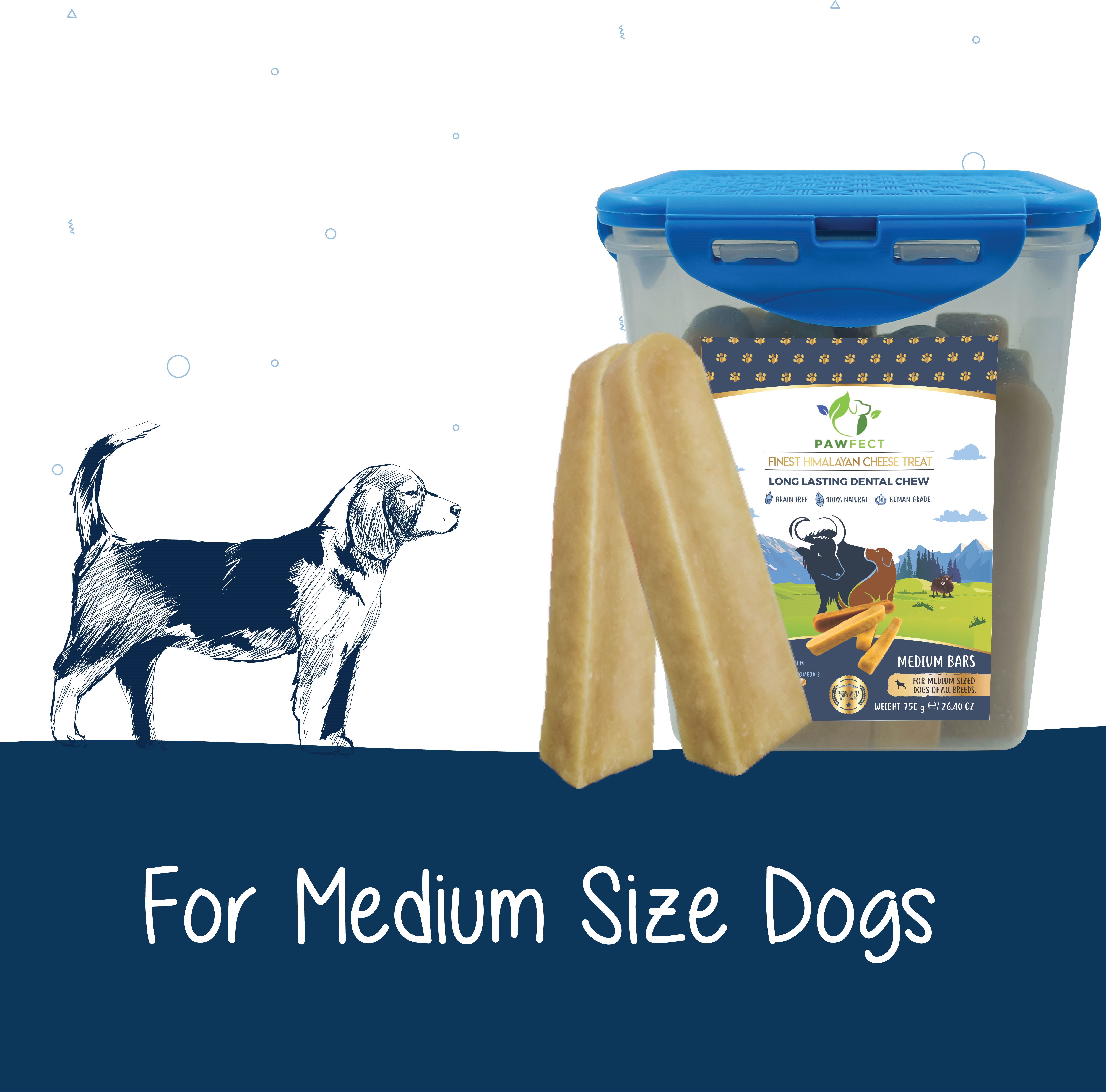 Pawfect Himalayan Cheese Chews for Dogs | 100% Natural Dental Stick | Long lasting healthy chew | Rich in Protein &amp; Calcium | Grain-free| Daily dental treat| Pack of 10 for Medium Dogs (750g/26.45oz)