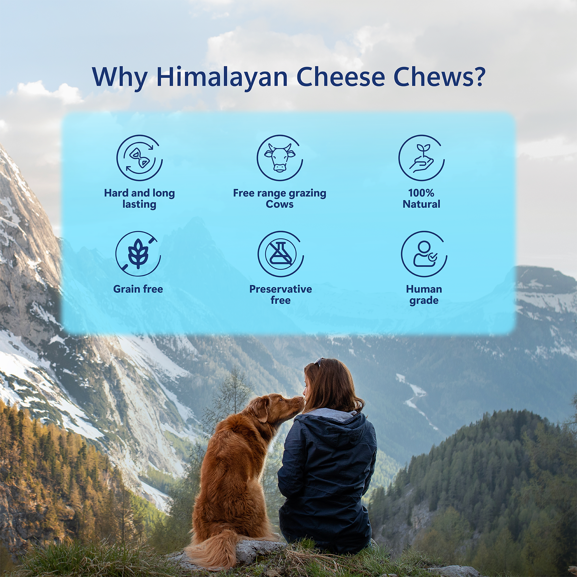 Pawfect Himalayan Cheese Chews for Dogs | 100% Natural | Long lasting healthy Dental Stick | Rich in Protein & Calcium | Grain-free| Daily dental treat| Pack of 1 for Extra Large Dogs (180g/6.35oz)