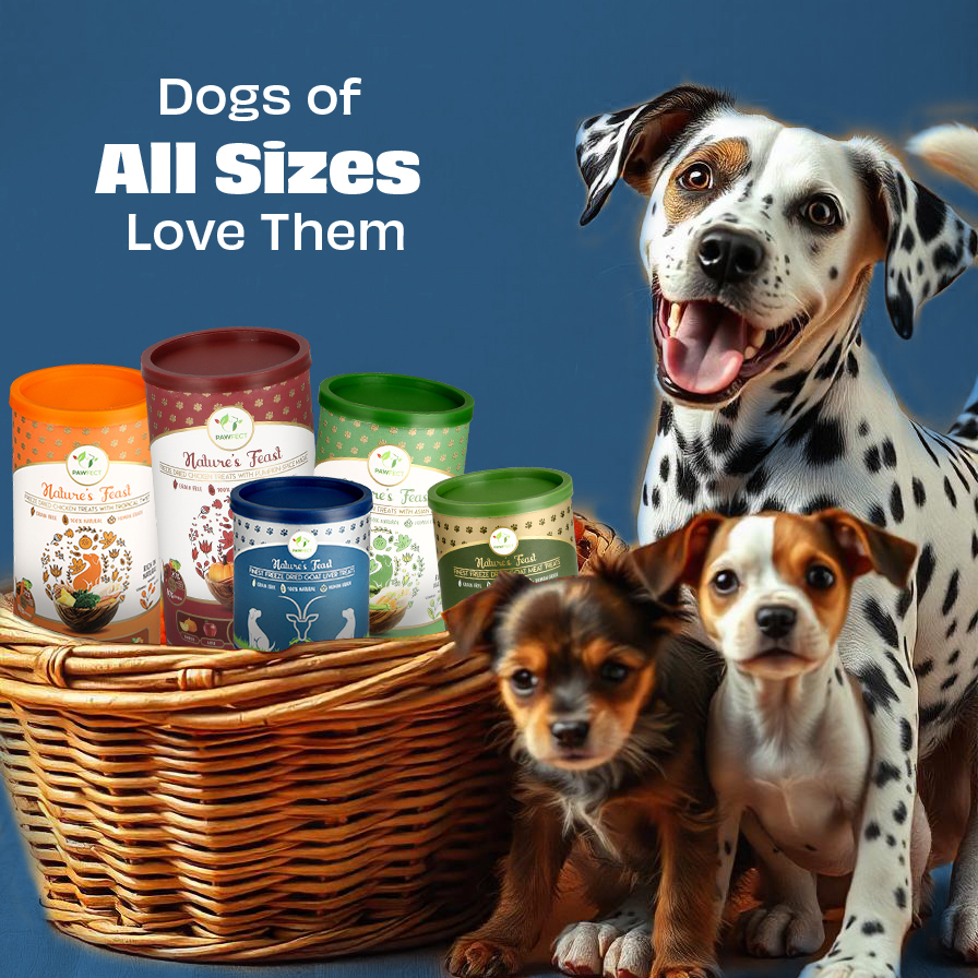 Pawfect Nature's Feast Freeze Dried Dog Treats | 100% Natural Goat liver Treat | Single Ingredient | Grain Free | Training Treat | Food Topper for Dogs (50g/1.76oz)