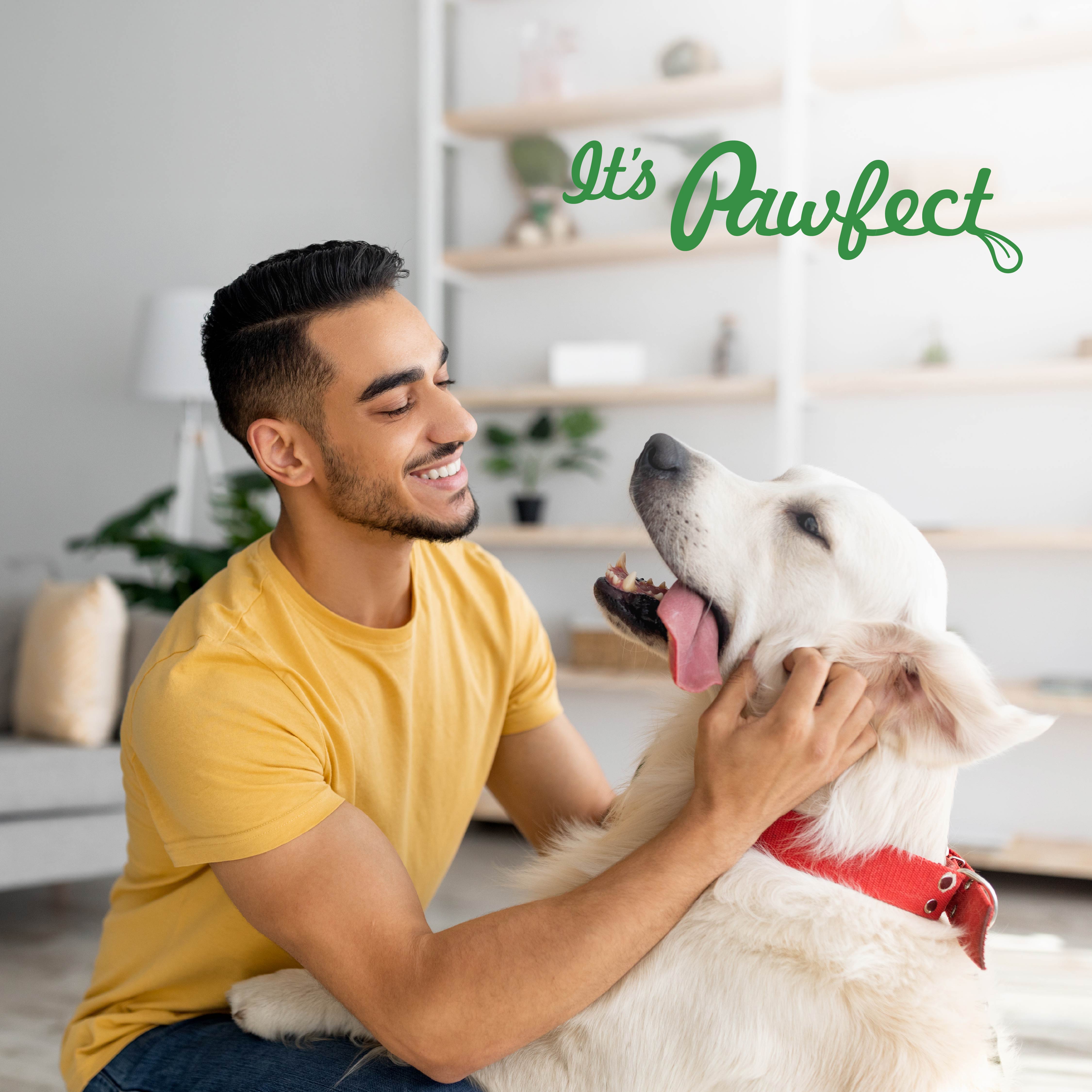 Pawfect Nature's Feast Freeze-Dried Goat Meat Treats for Dogs| 100% Natural| Hypoallergenic| Easily Digestible| Grain-Free| Multifunctional| High Protein|Low Fat Training Treats(150g/5.29oz)